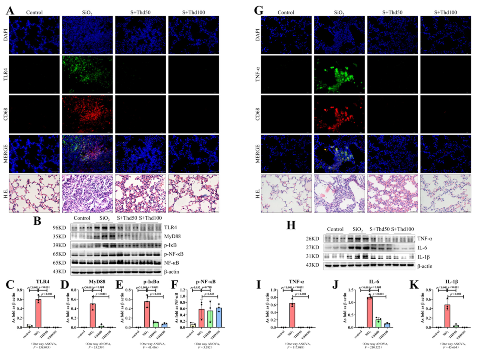 Ijms 23 05656 g004 Ijms 23 05656 g004