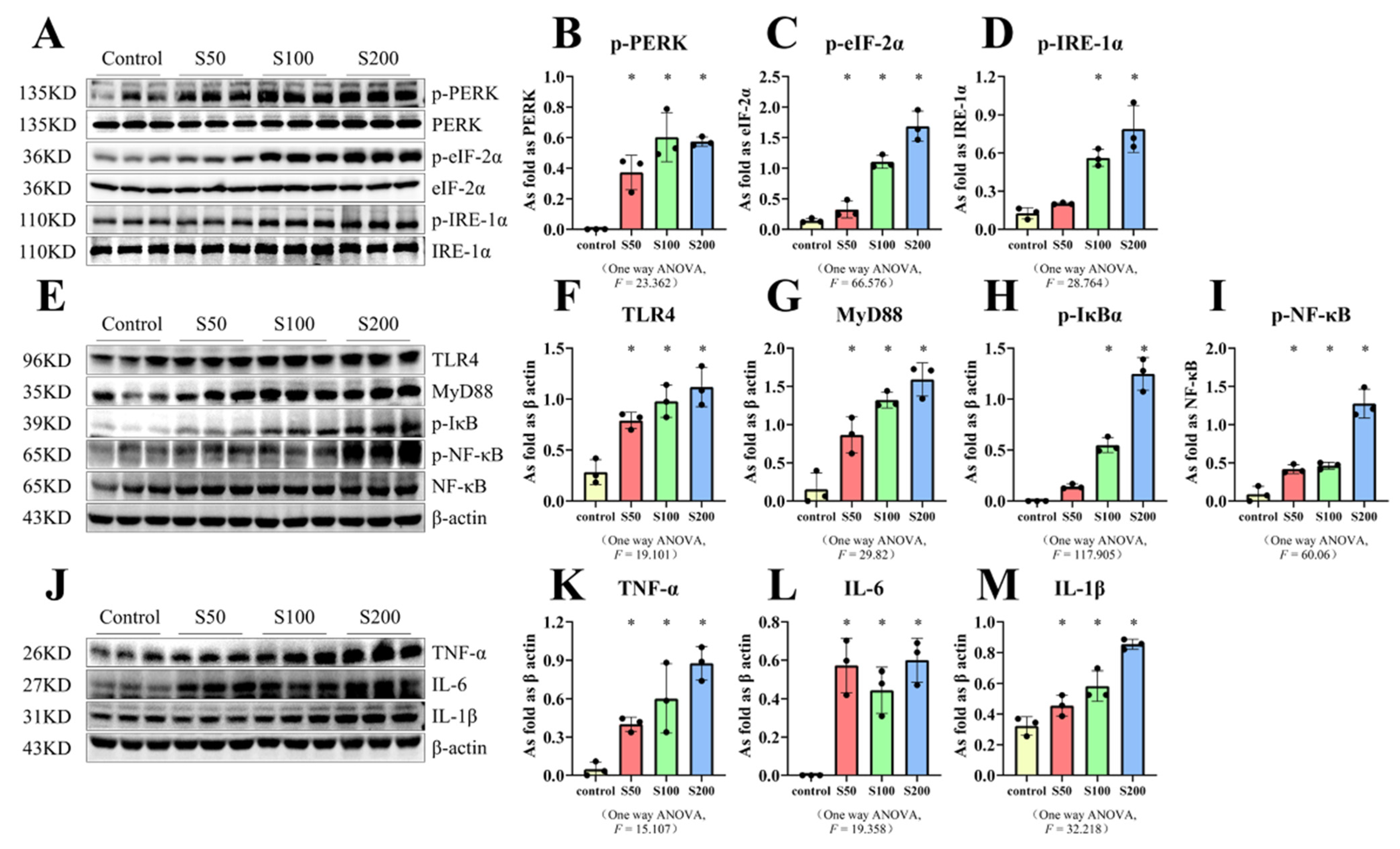 Ijms 23 05656 g005 Ijms 23 05656 g005