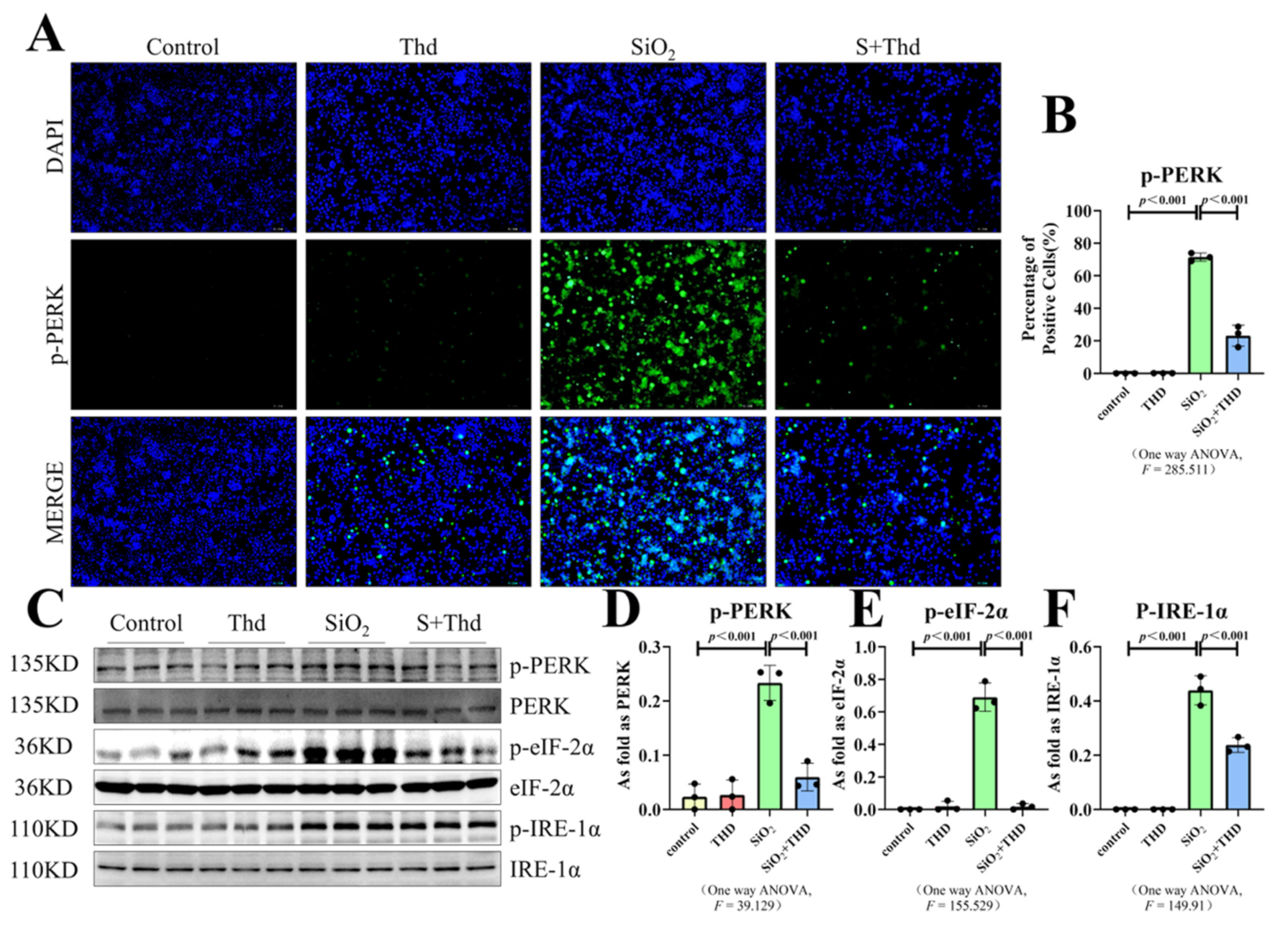 Ijms 23 05656 g006 Ijms 23 05656 g006