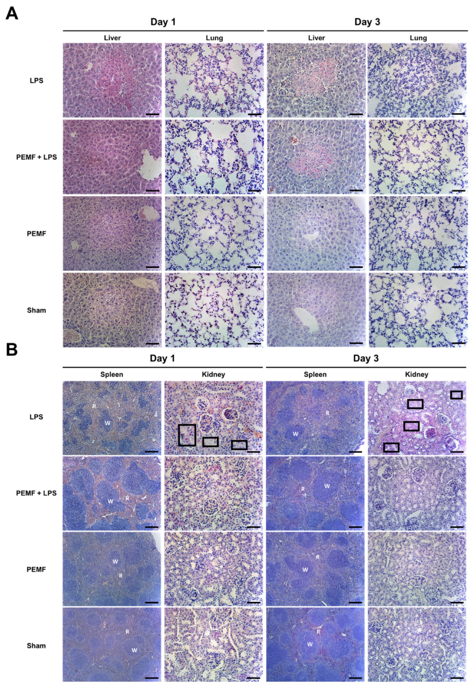 https://www.mdpi.com/ijms/ijms-23-05661/article_deploy/html/images/ijms-23-05661-g005.png