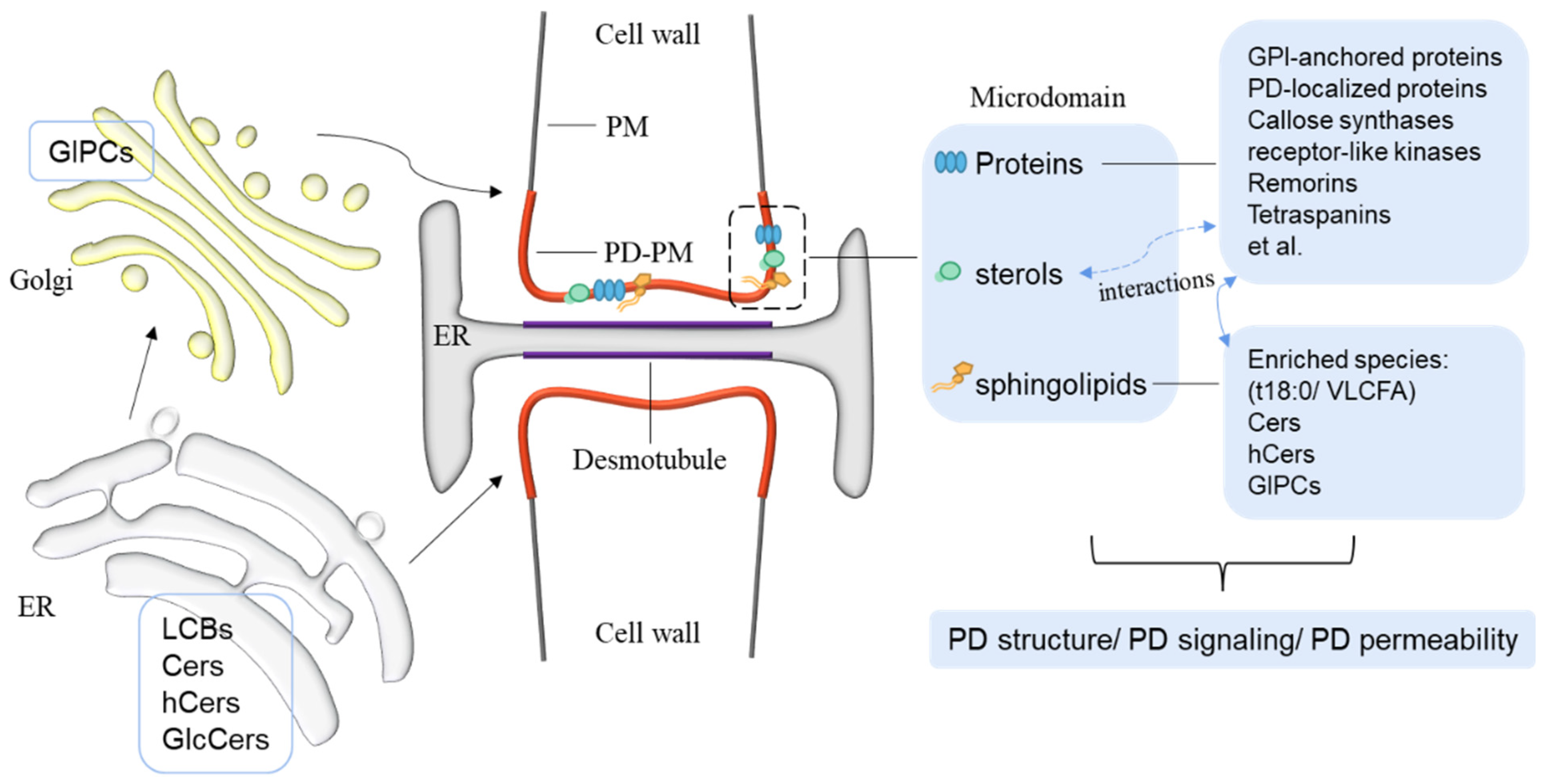 Ijms 23 05677 g002 Ijms 23 05677 g002