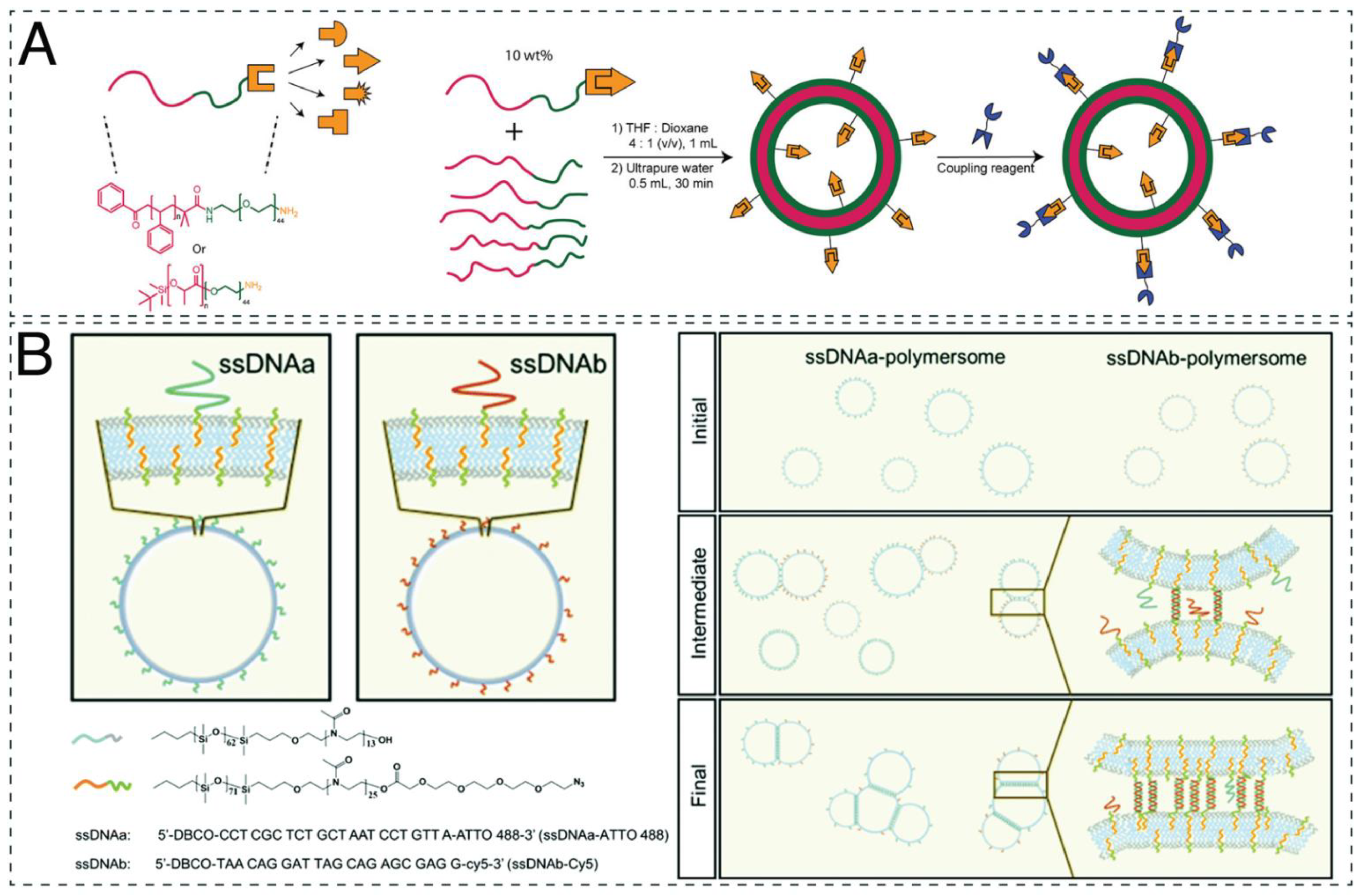 IJMS | Free Full-Text | Current Perspectives on Synthetic