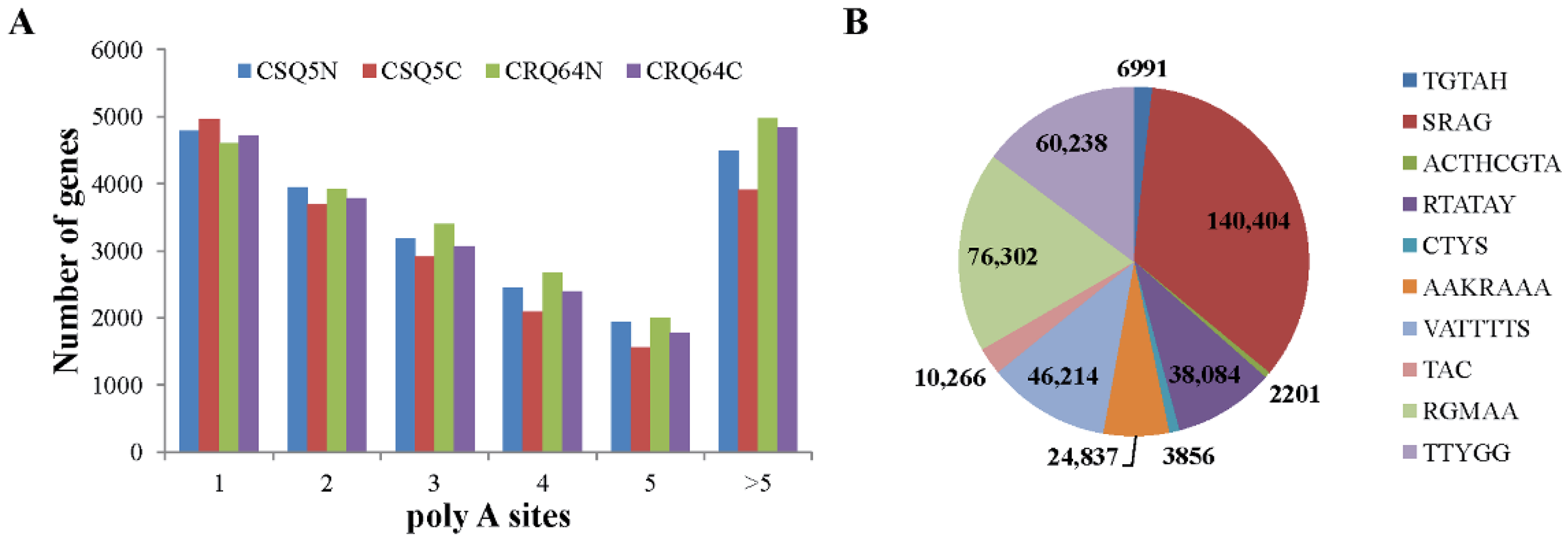 Ijms 23 05724 g002 Ijms 23 05724 g002