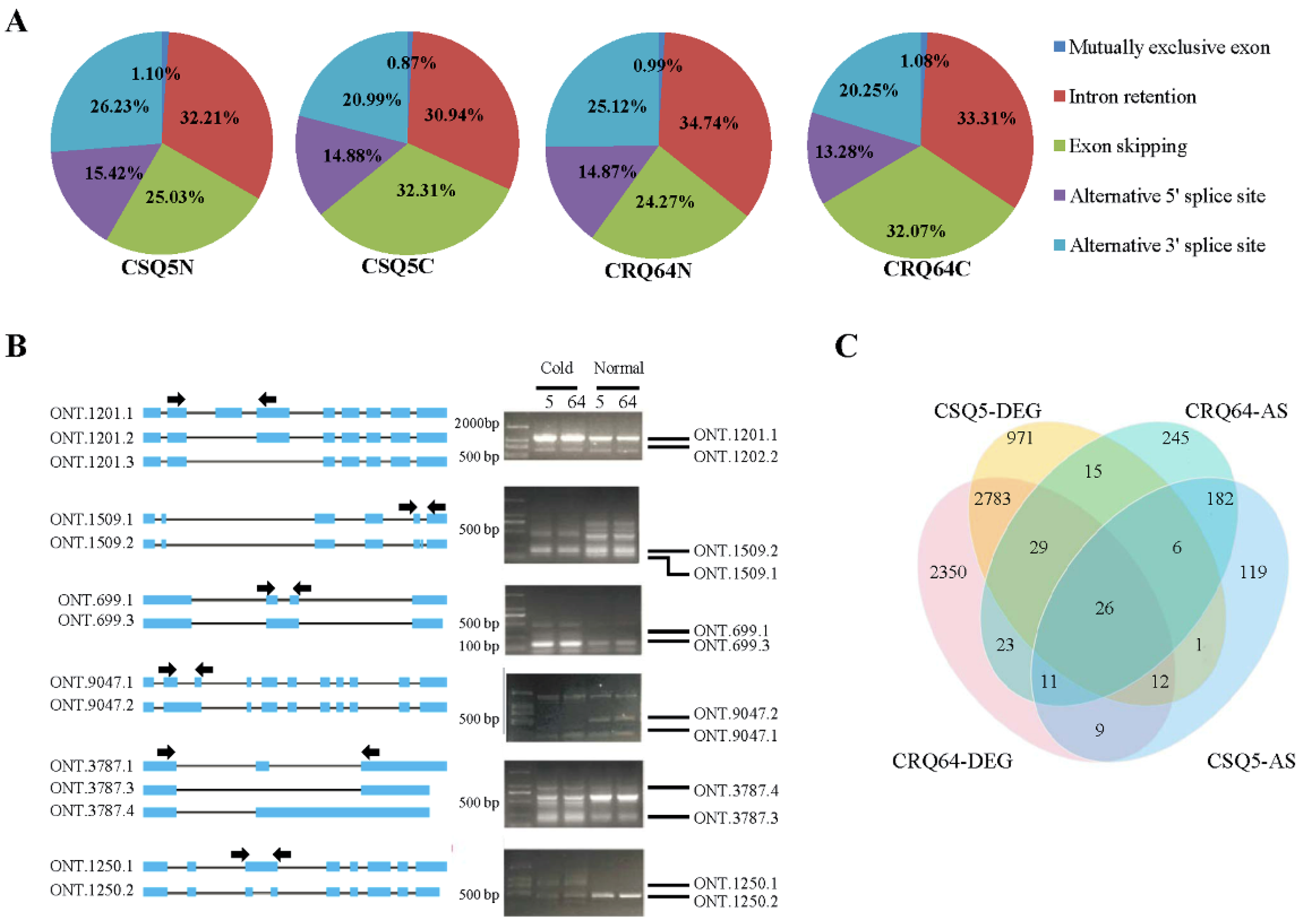 Ijms 23 05724 g004 Ijms 23 05724 g004