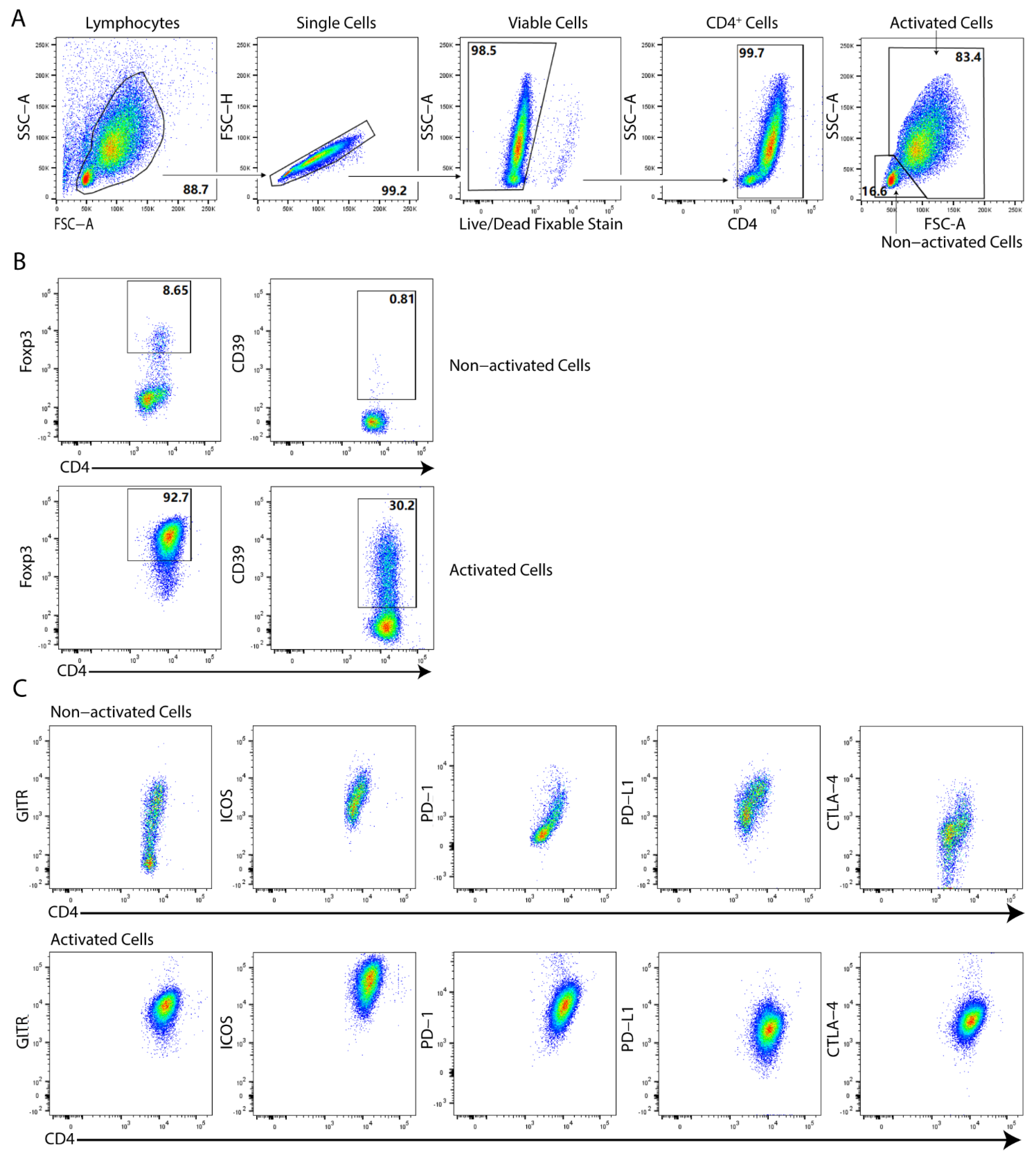 Ijms 23 05740 g002 Ijms 23 05740 g002