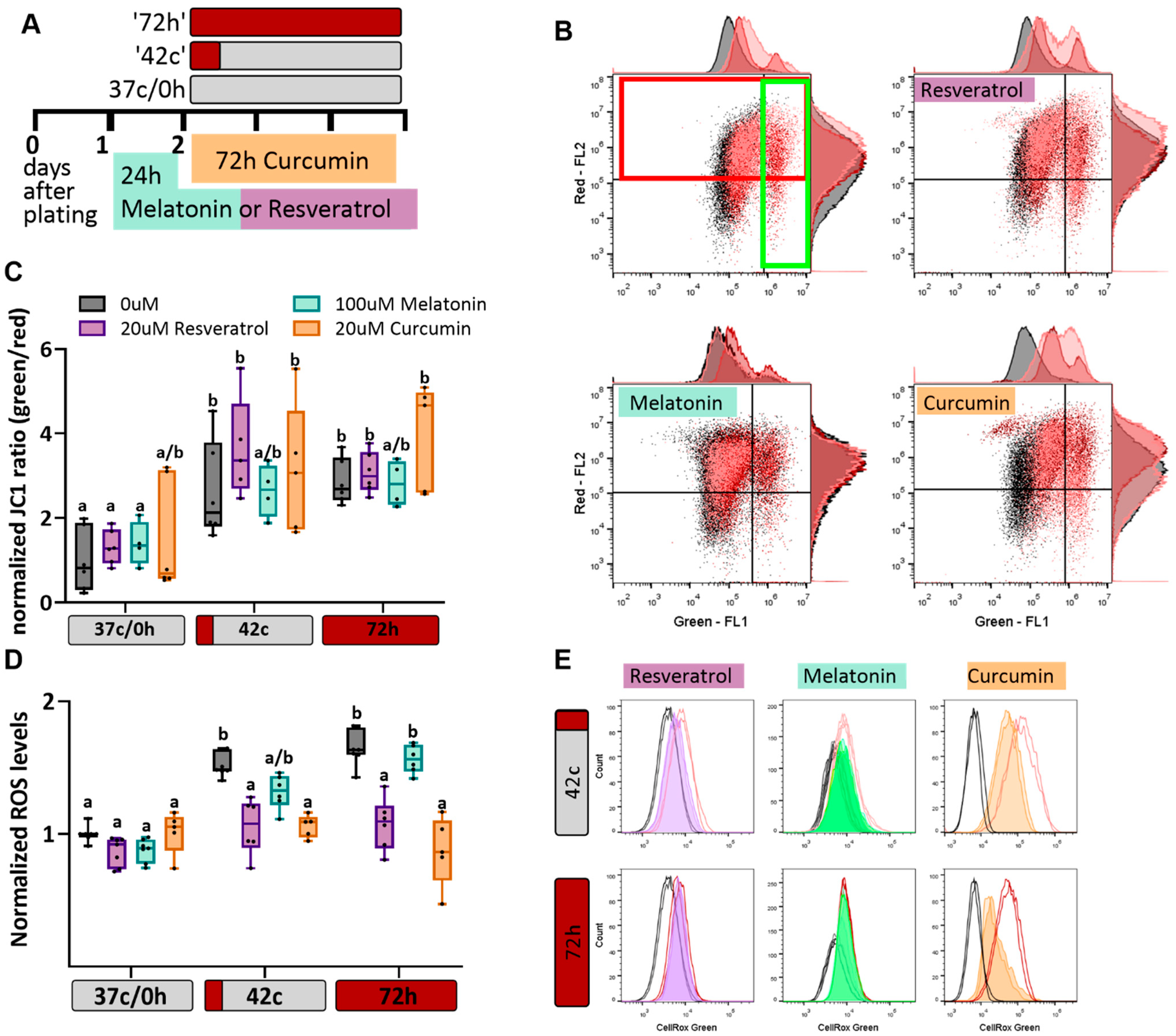 IJMS | Free Full-Text | Antioxidants Attenuate Heat Shock Induced