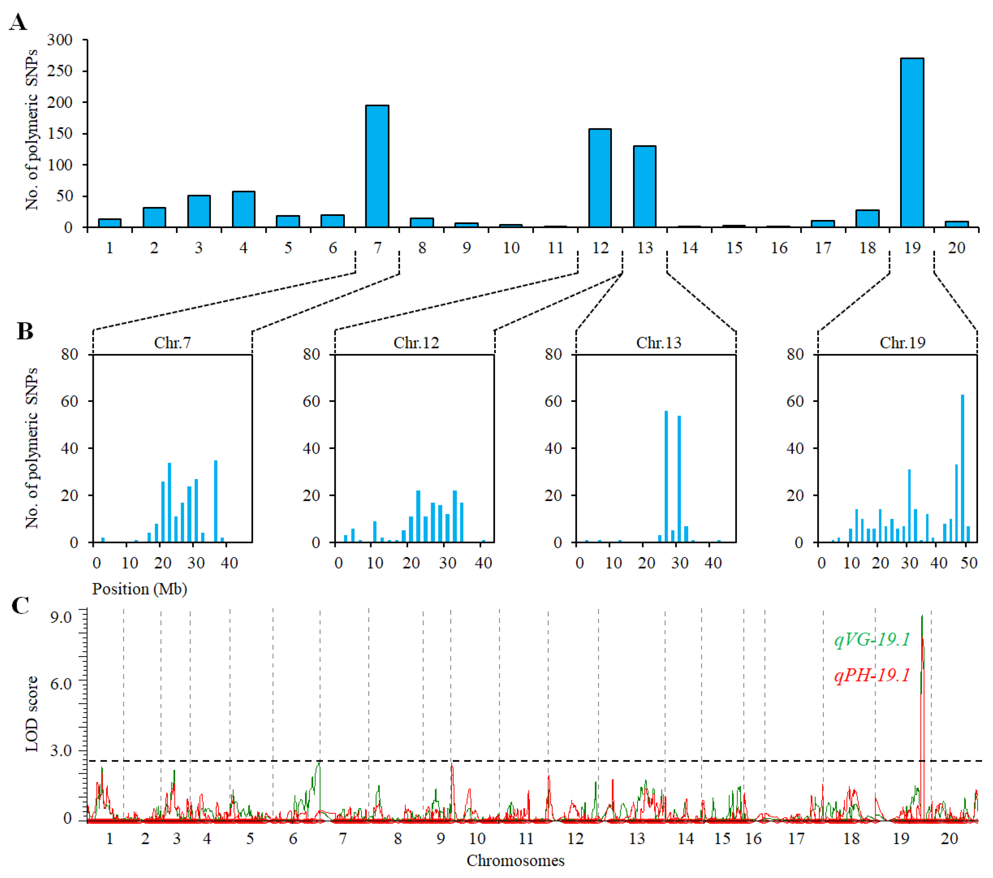 Ijms 23 05823 g003 Ijms 23 05823 g003