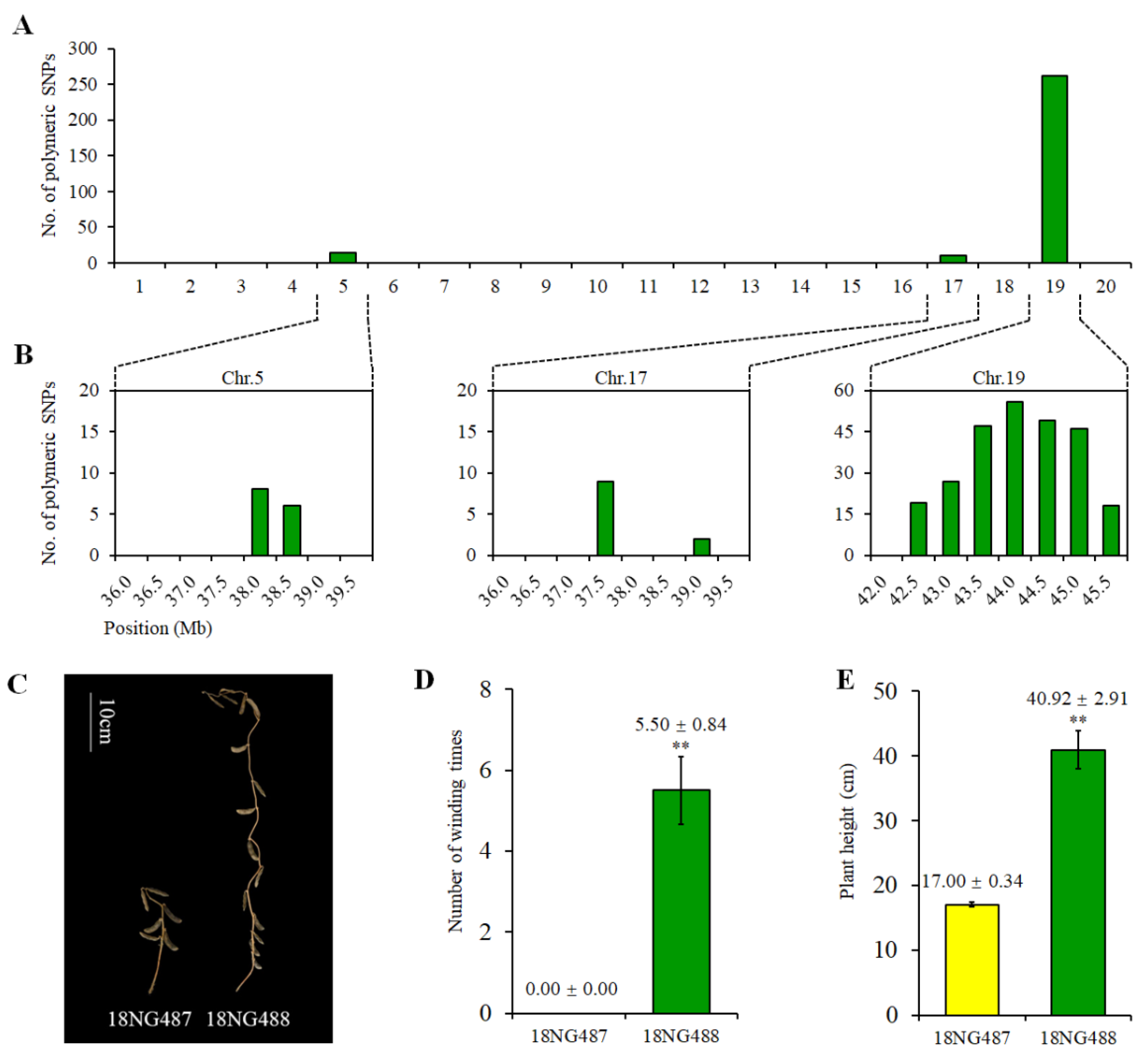 Ijms 23 05823 g005 Ijms 23 05823 g005