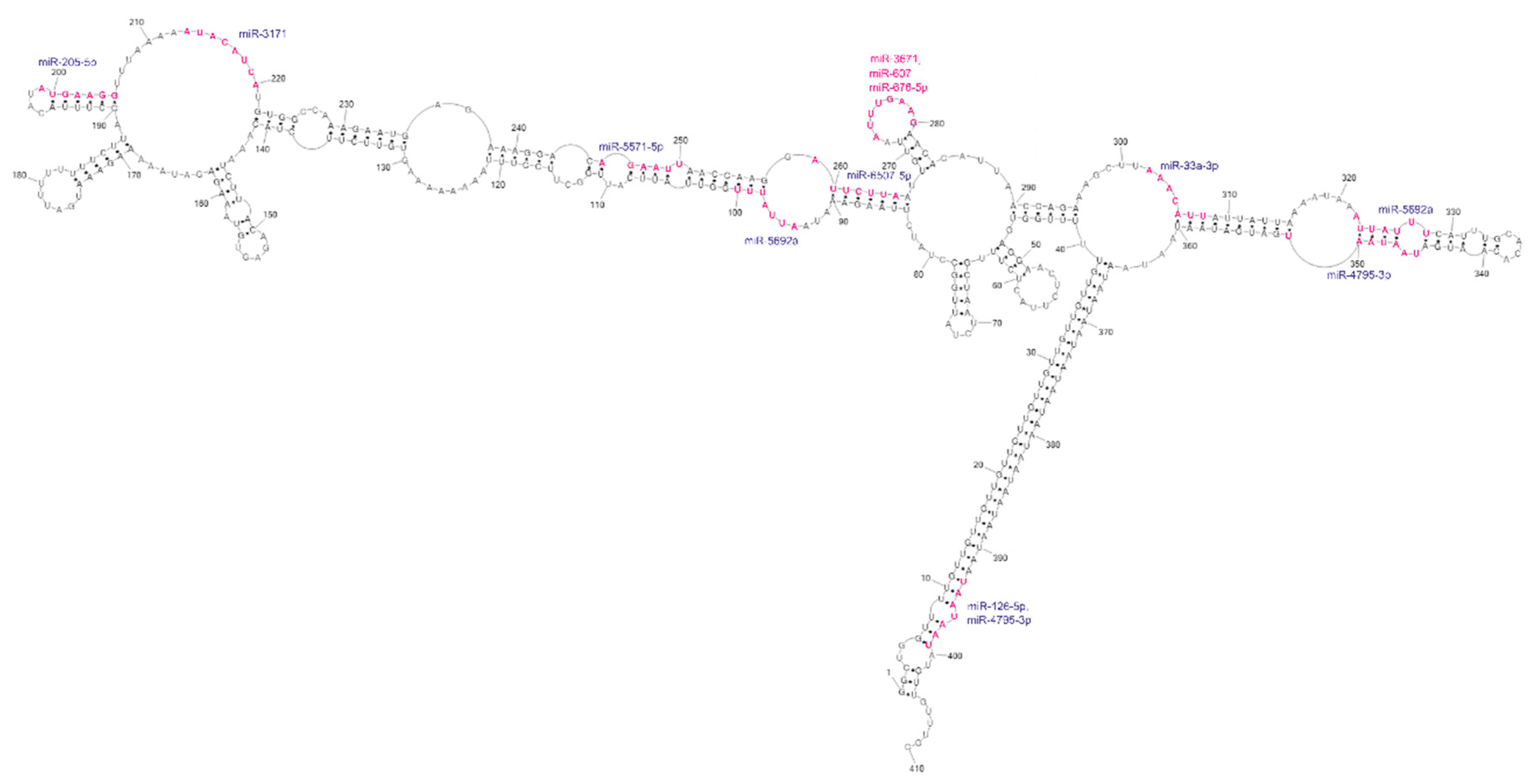 Ijms 23 05850 g006 Ijms 23 05850 g006