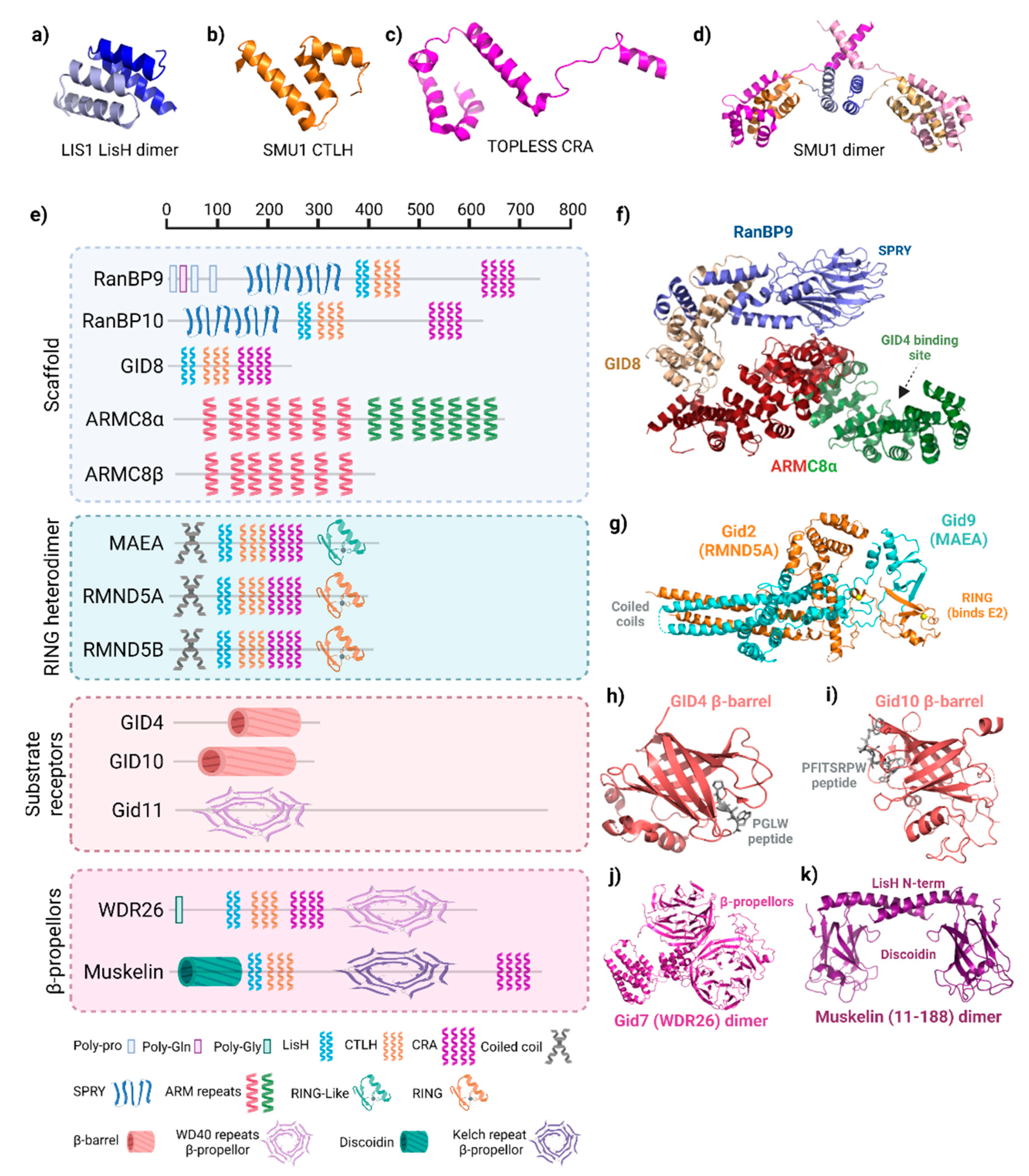 Ijms 23 05863 g002 Ijms 23 05863 g002