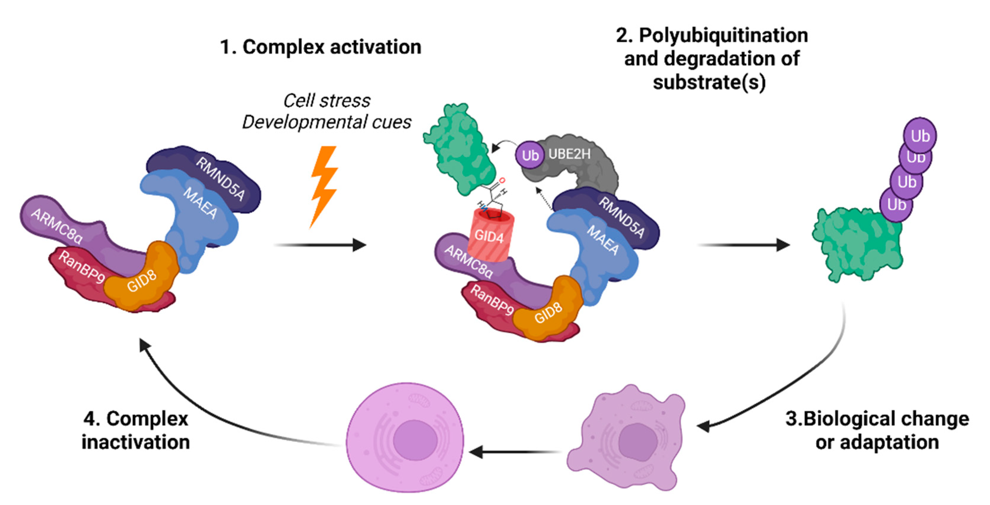 Ijms 23 05863 g006 Ijms 23 05863 g006