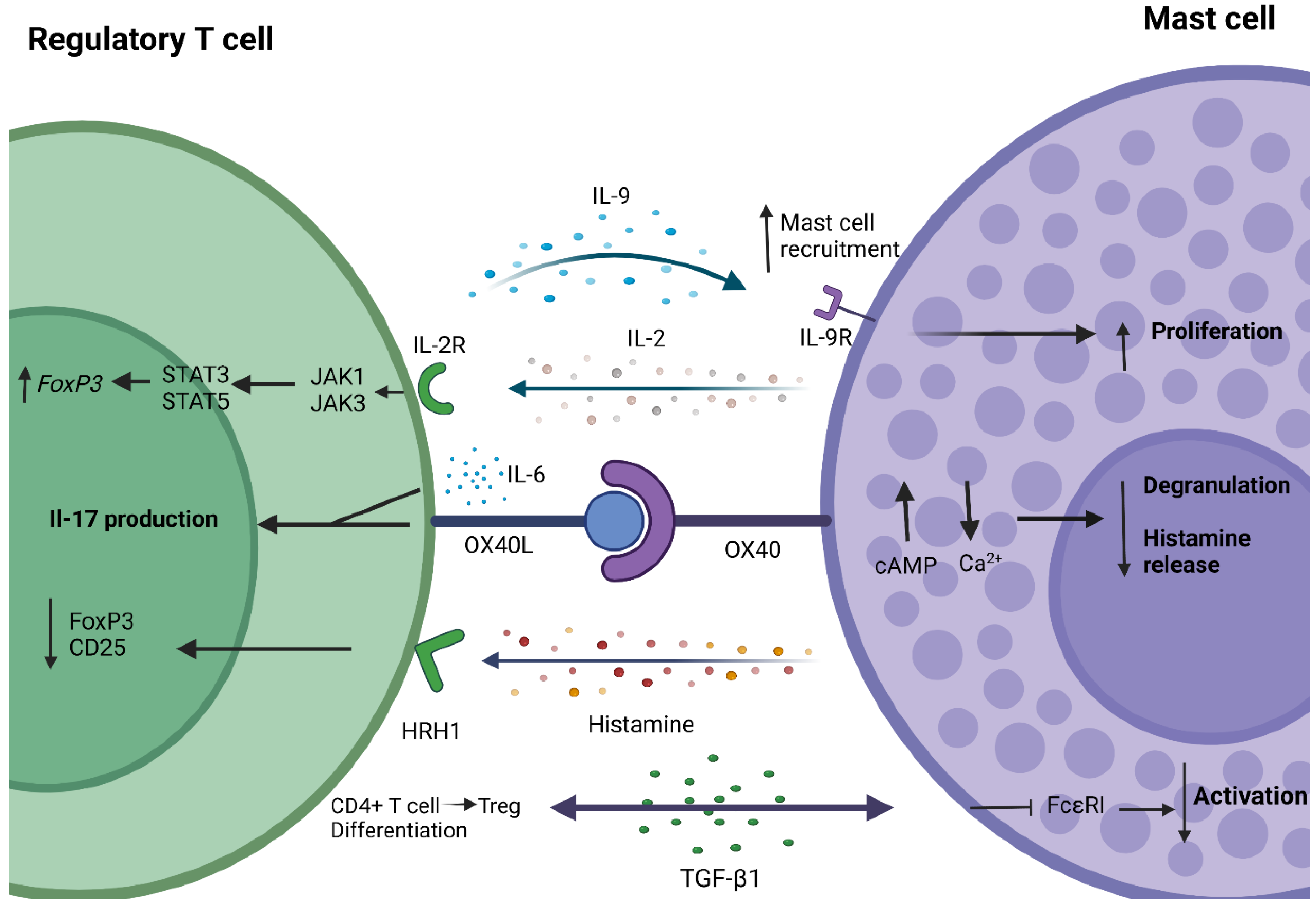 Ijms 23 05872 g002 Ijms 23 05872 g002