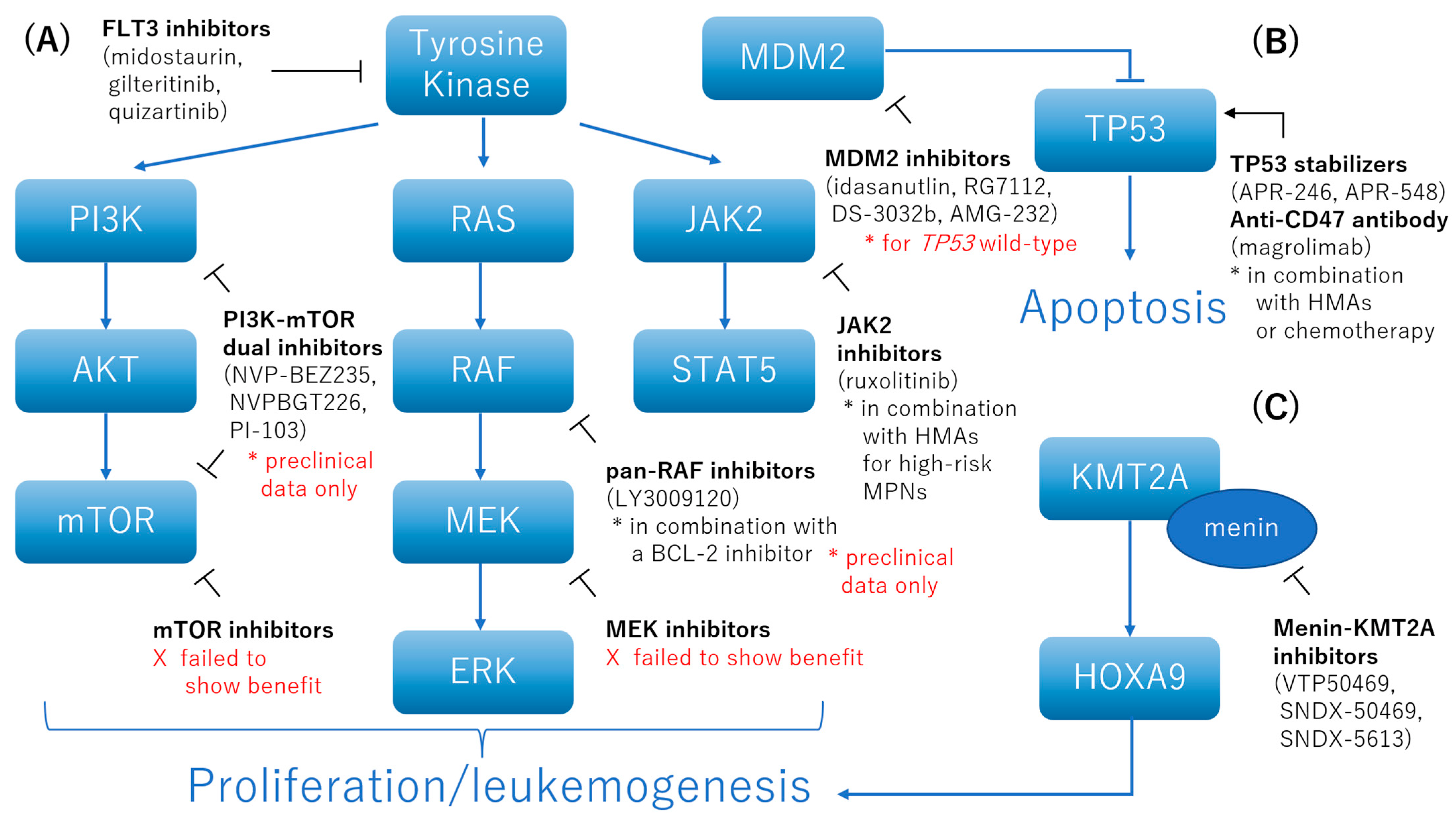 Ijms 23 05950 g003 Ijms 23 05950 g003