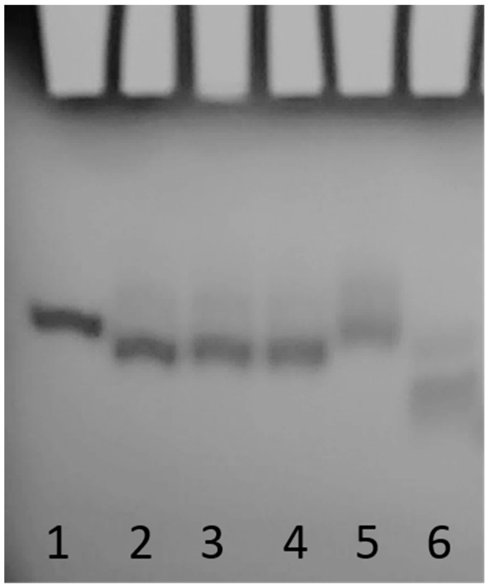 Ijms 23 05952 g002
