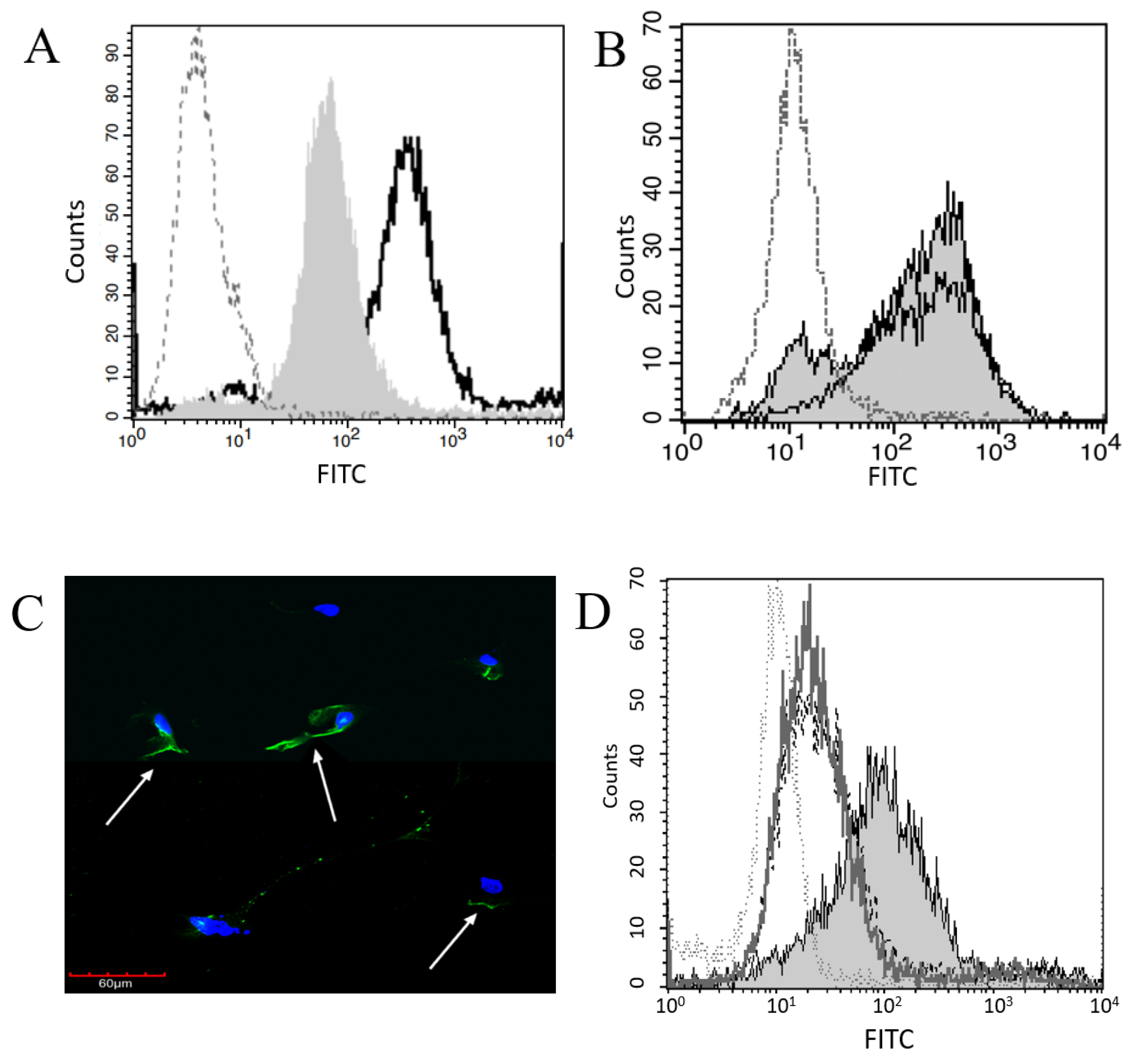 Ijms 23 05984 g001 Ijms 23 05984 g001