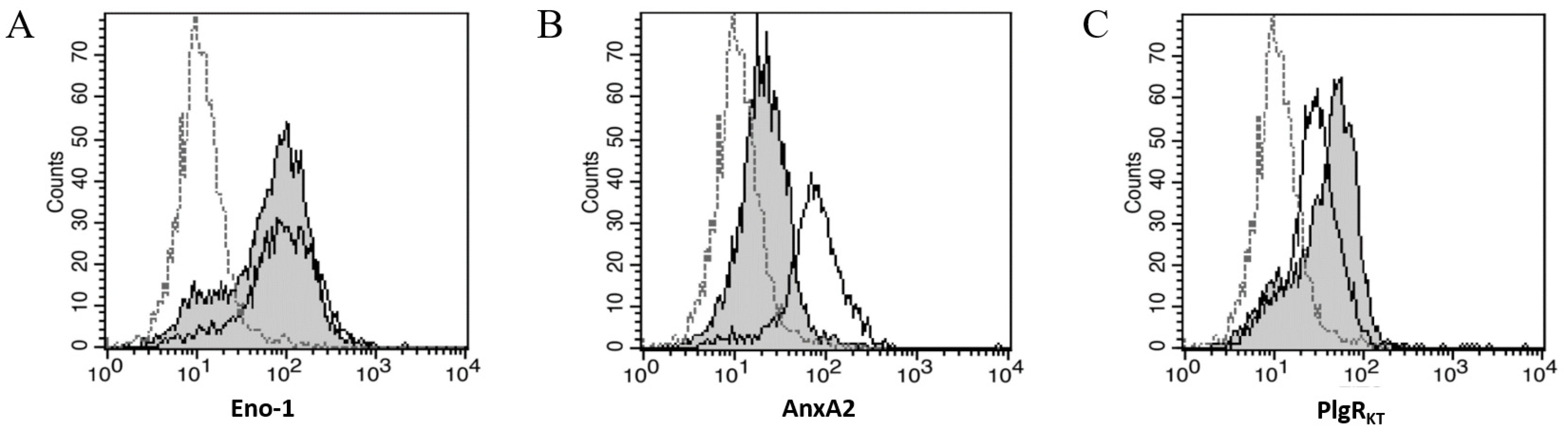 Ijms 23 05984 g004 Ijms 23 05984 g004