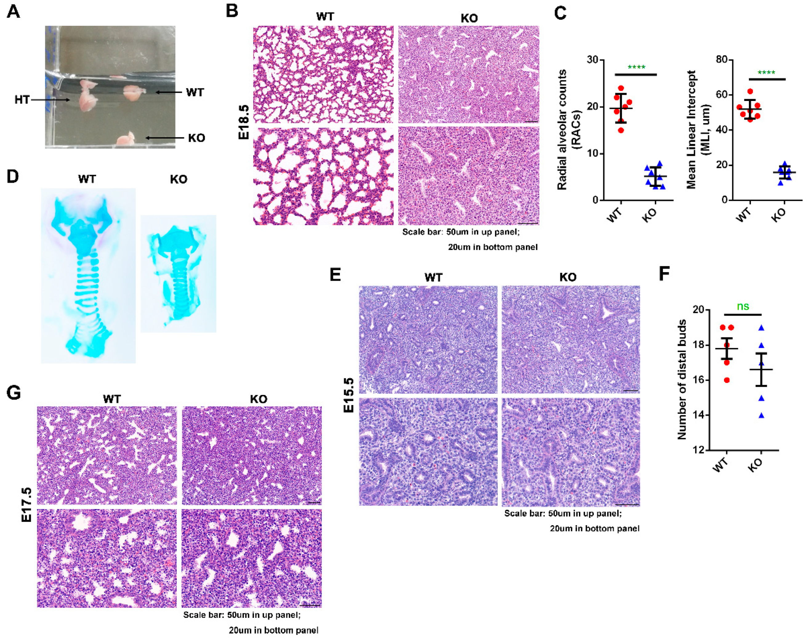 Ijms 23 06014 g003 Ijms 23 06014 g003