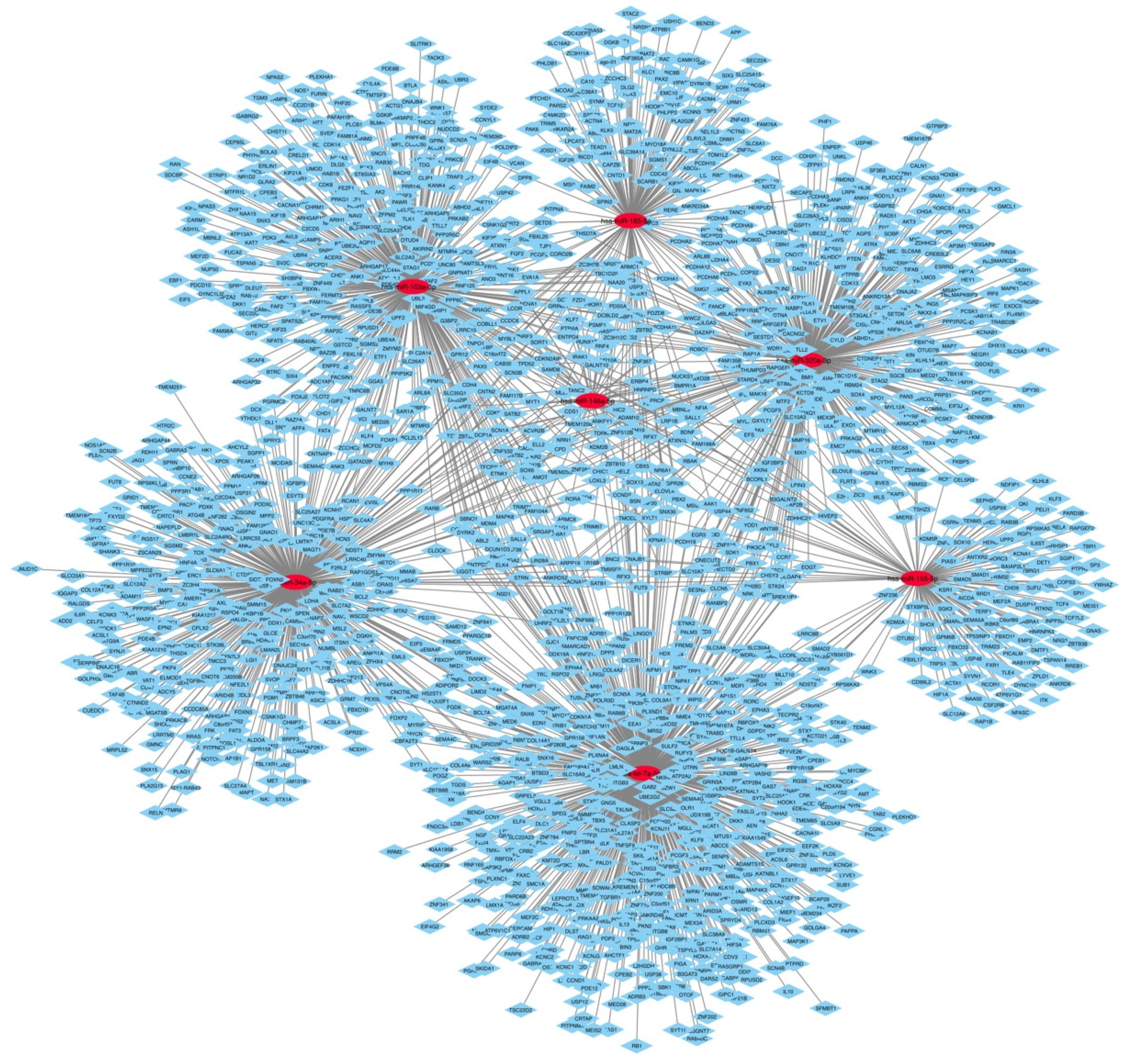 Expression and Biological Functions of miRNAs in Chronic Pain A  