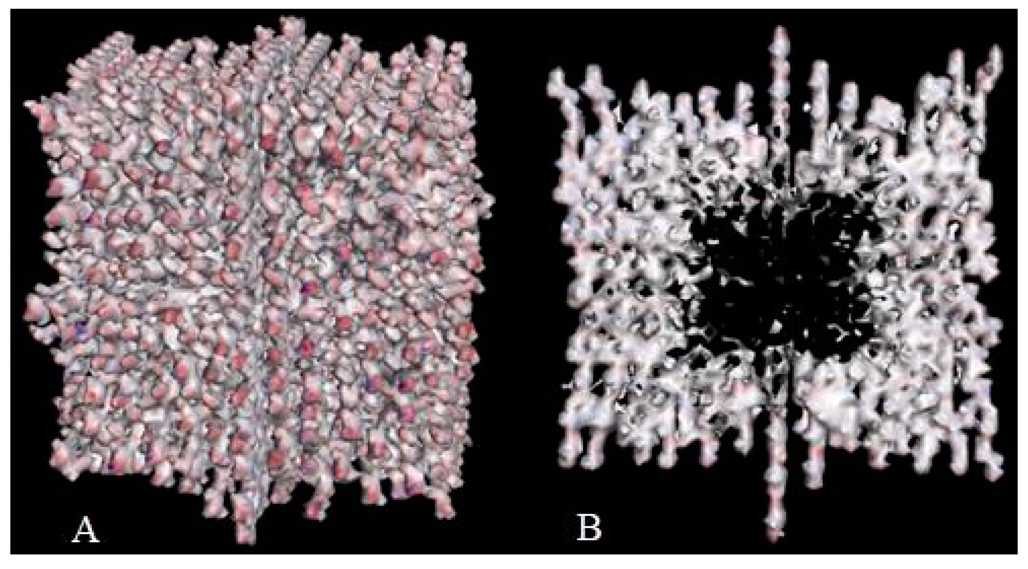 Ijms 23 06023 g007 Ijms 23 06023 g007