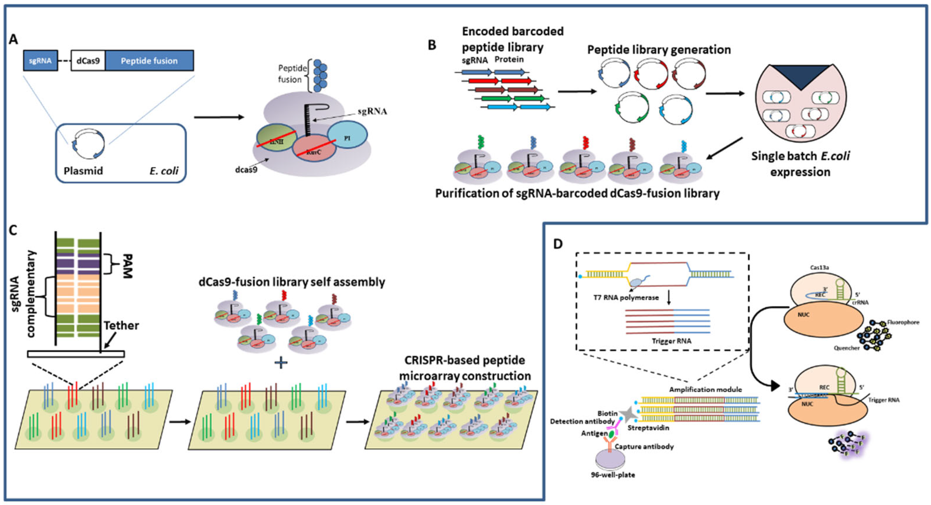 IJMS | Free Full-Text | Next-Generation Diagnostic With CRISPR/Cas ...