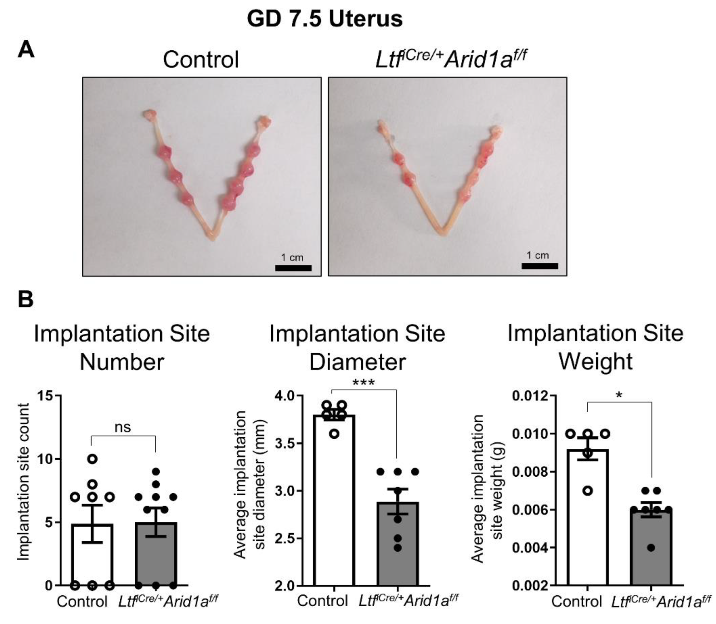 Ijms 23 06067 g001 Ijms 23 06067 g001