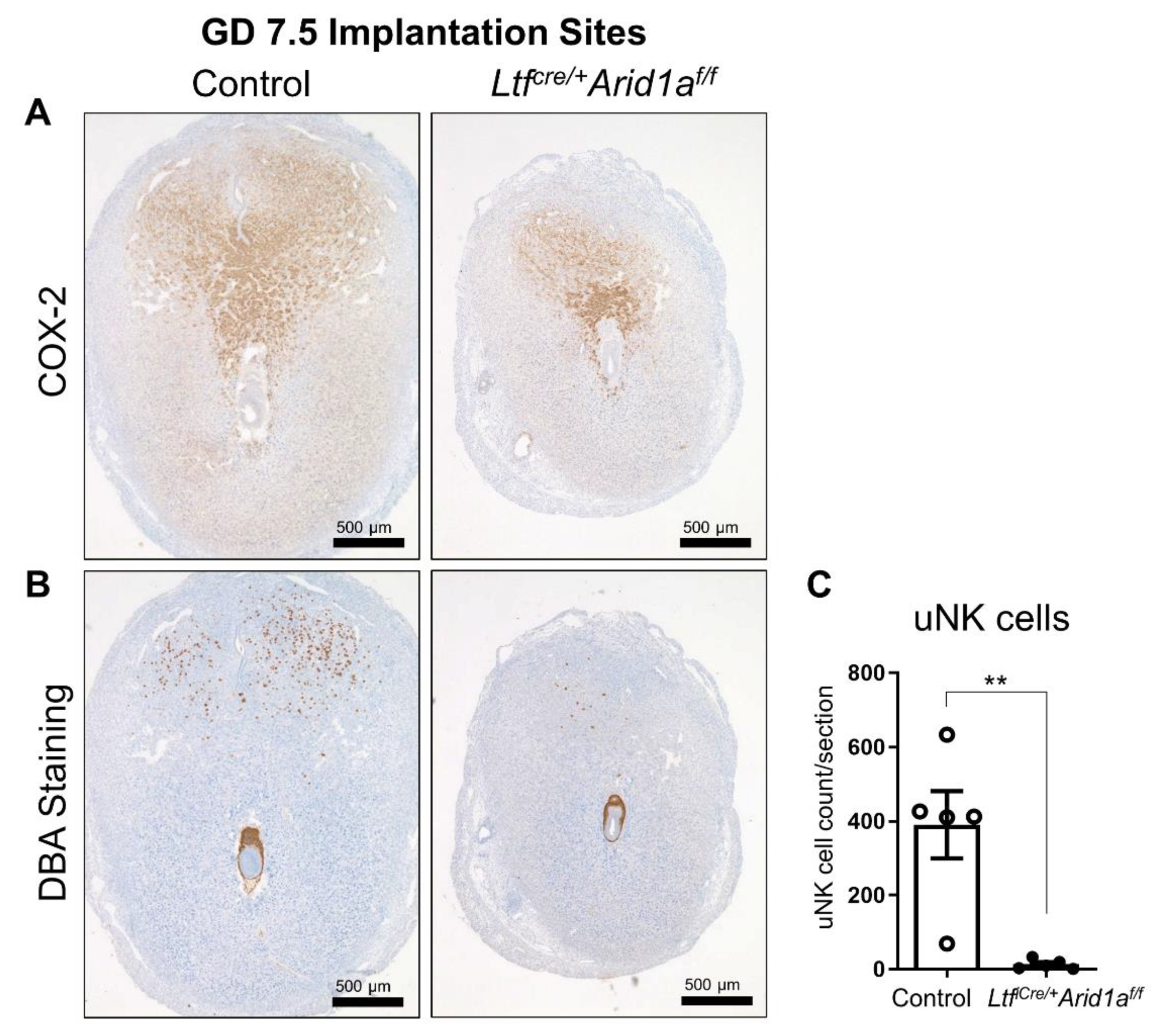 Ijms 23 06067 g002 Ijms 23 06067 g002