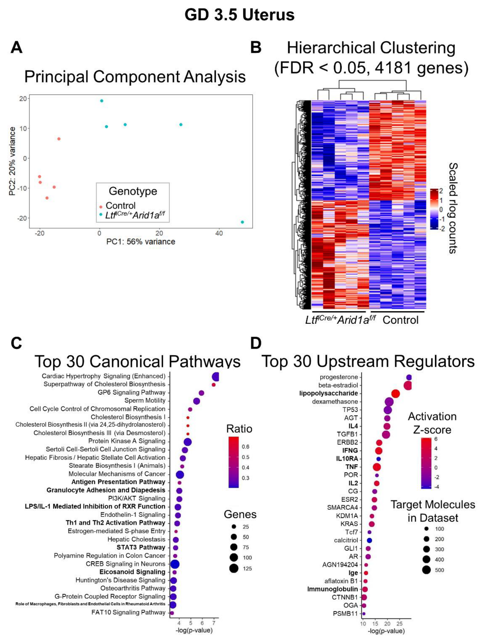 Ijms 23 06067 g003 Ijms 23 06067 g003