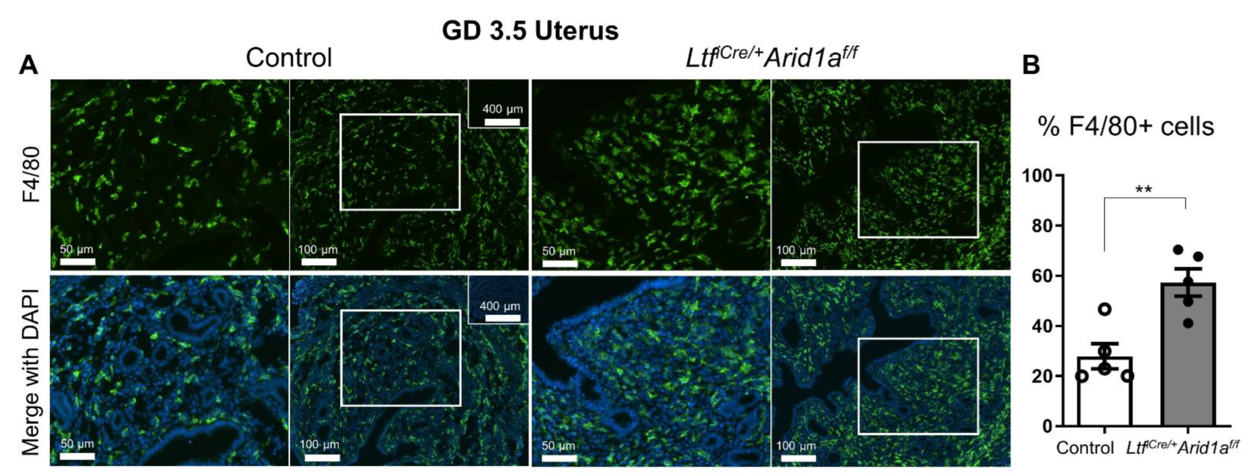 Ijms 23 06067 g005 Ijms 23 06067 g005