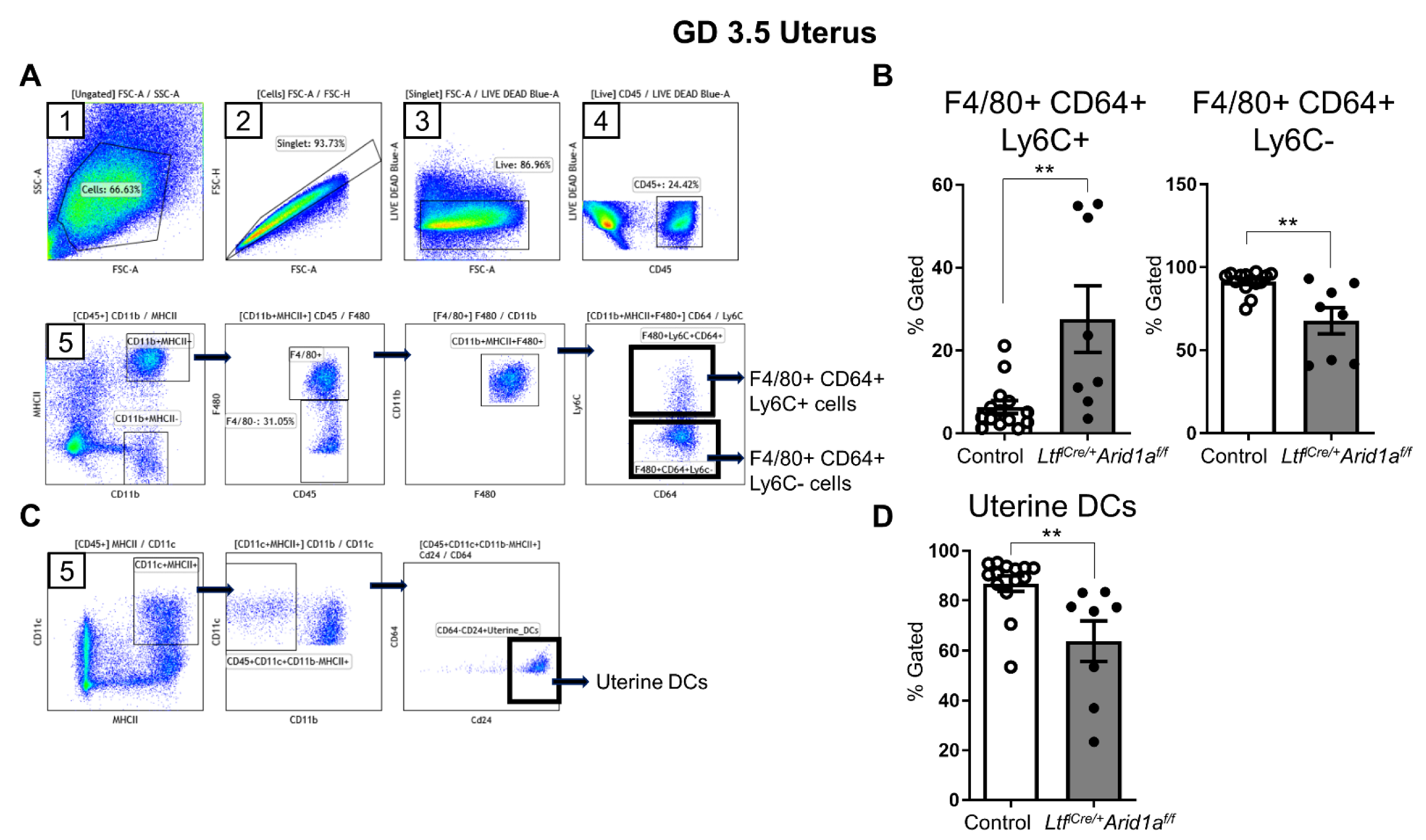 Ijms 23 06067 g006 Ijms 23 06067 g006