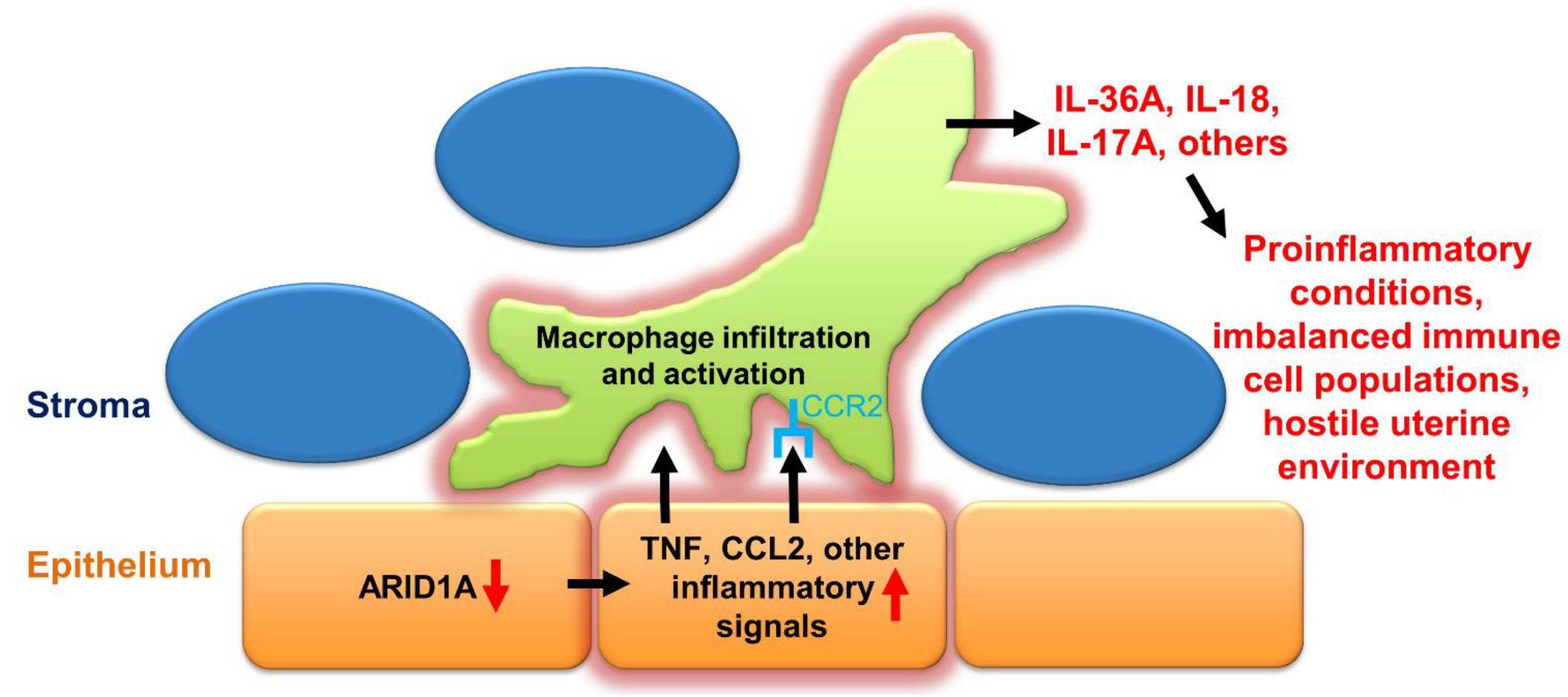 Ijms 23 06067 g007 Ijms 23 06067 g007