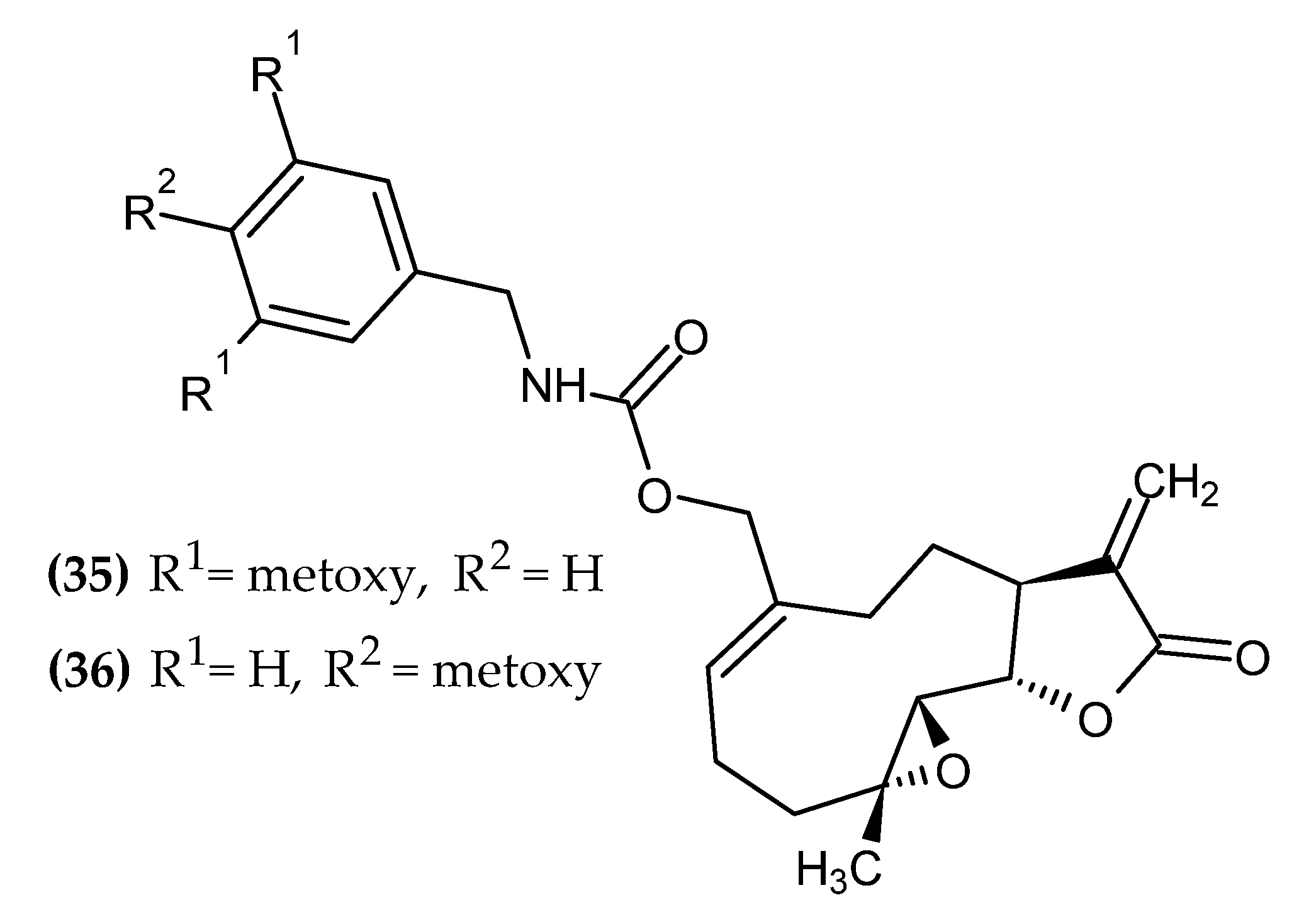 Ijms 23 06084 g008 Ijms 23 06084 g008