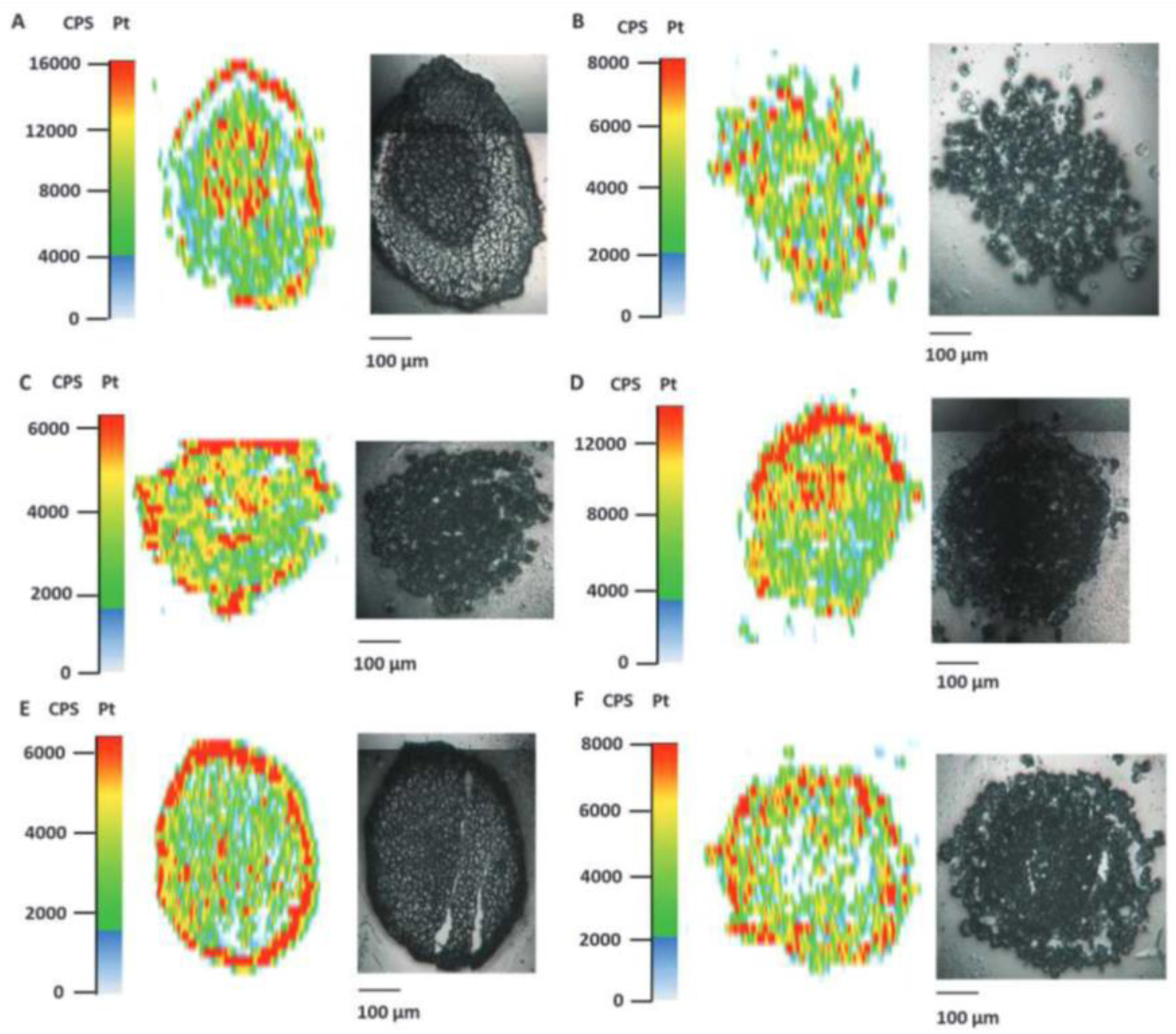 Ijms 23 06109 g001 Ijms 23 06109 g001