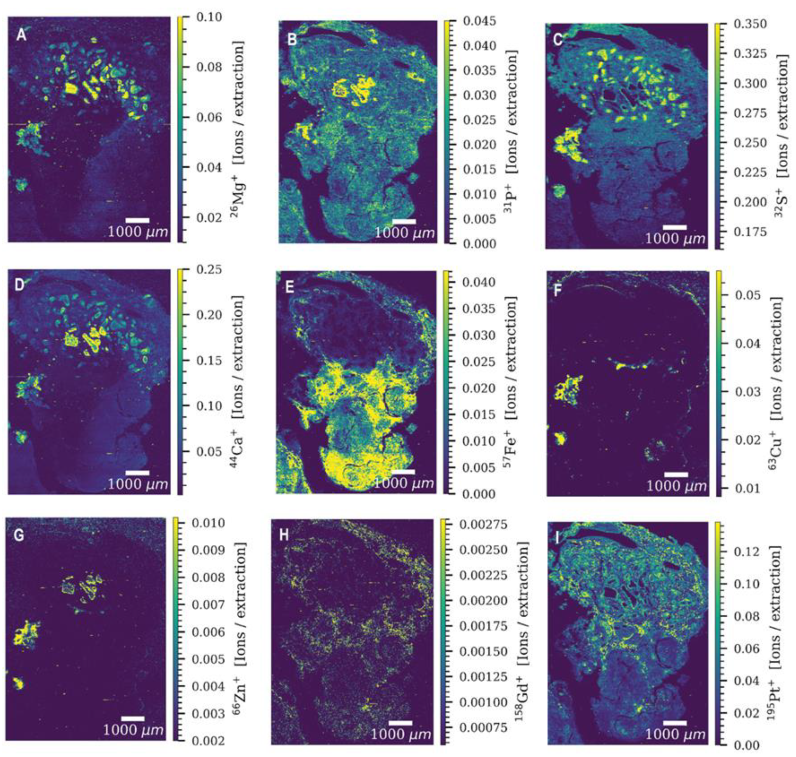 Ijms 23 06109 g002 Ijms 23 06109 g002