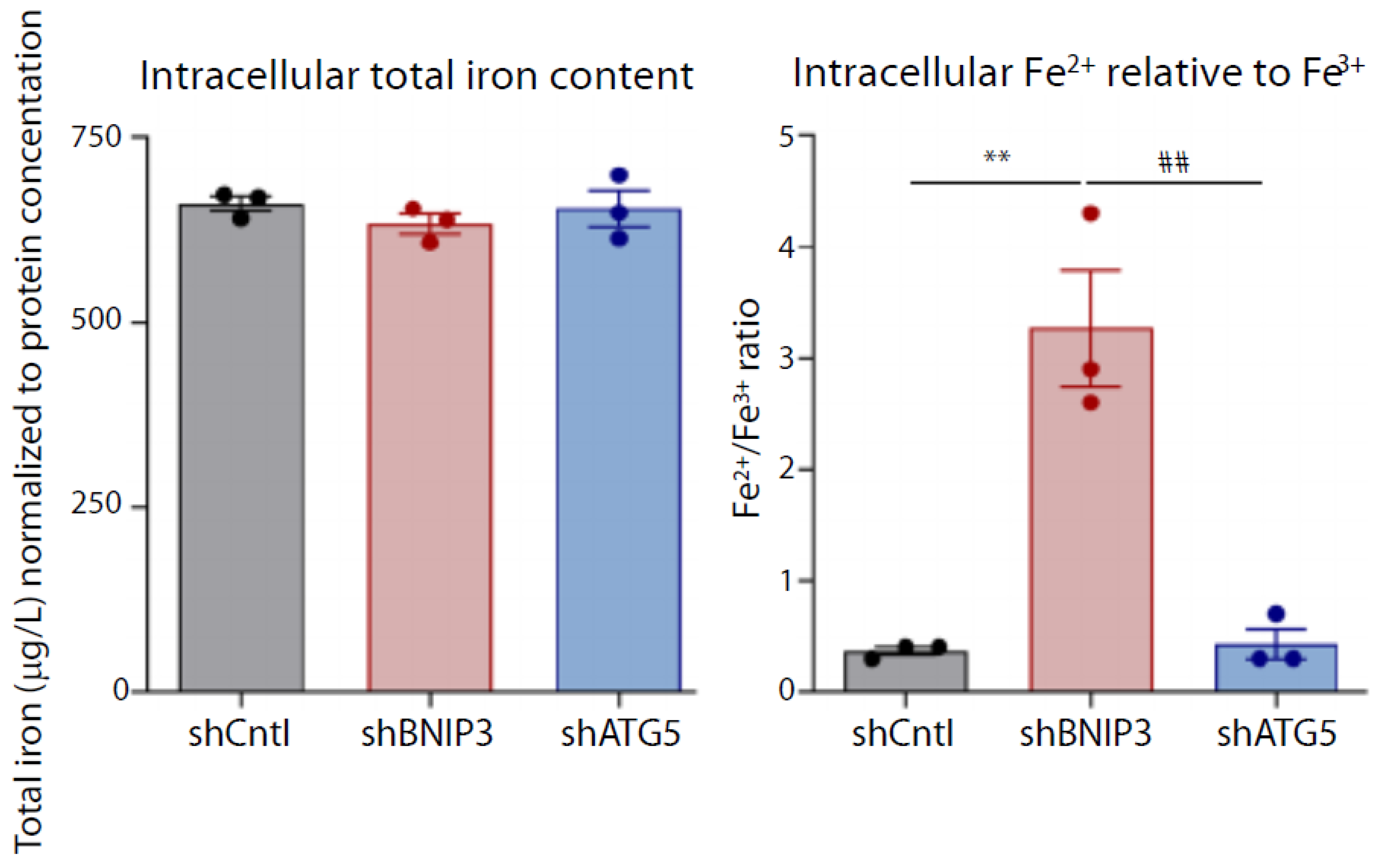 Ijms 23 06109 g003 Ijms 23 06109 g003