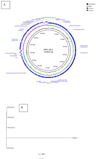 https://www.mdpi.com/ijms/ijms-23-06116/article_deploy/html/images/ijms-23-06116-g006-550.jpg