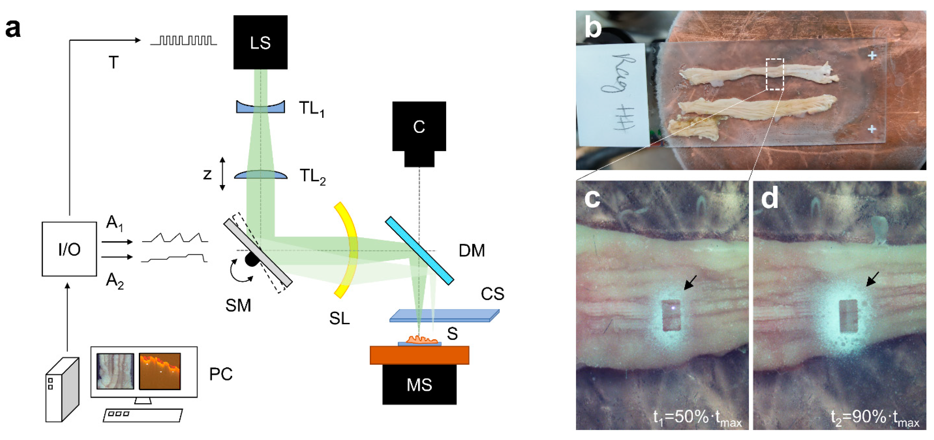 Infrared Laser Ablation Microsampling with a Reflective Objective