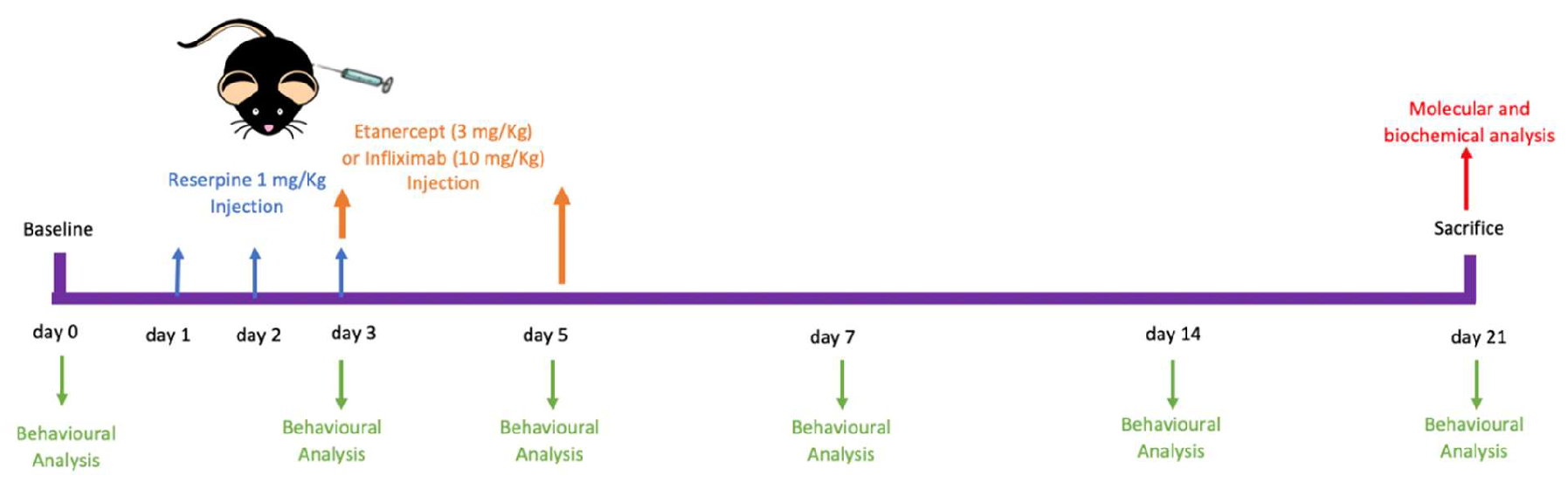 Ijms 23 06139 g001 Ijms 23 06139 g001