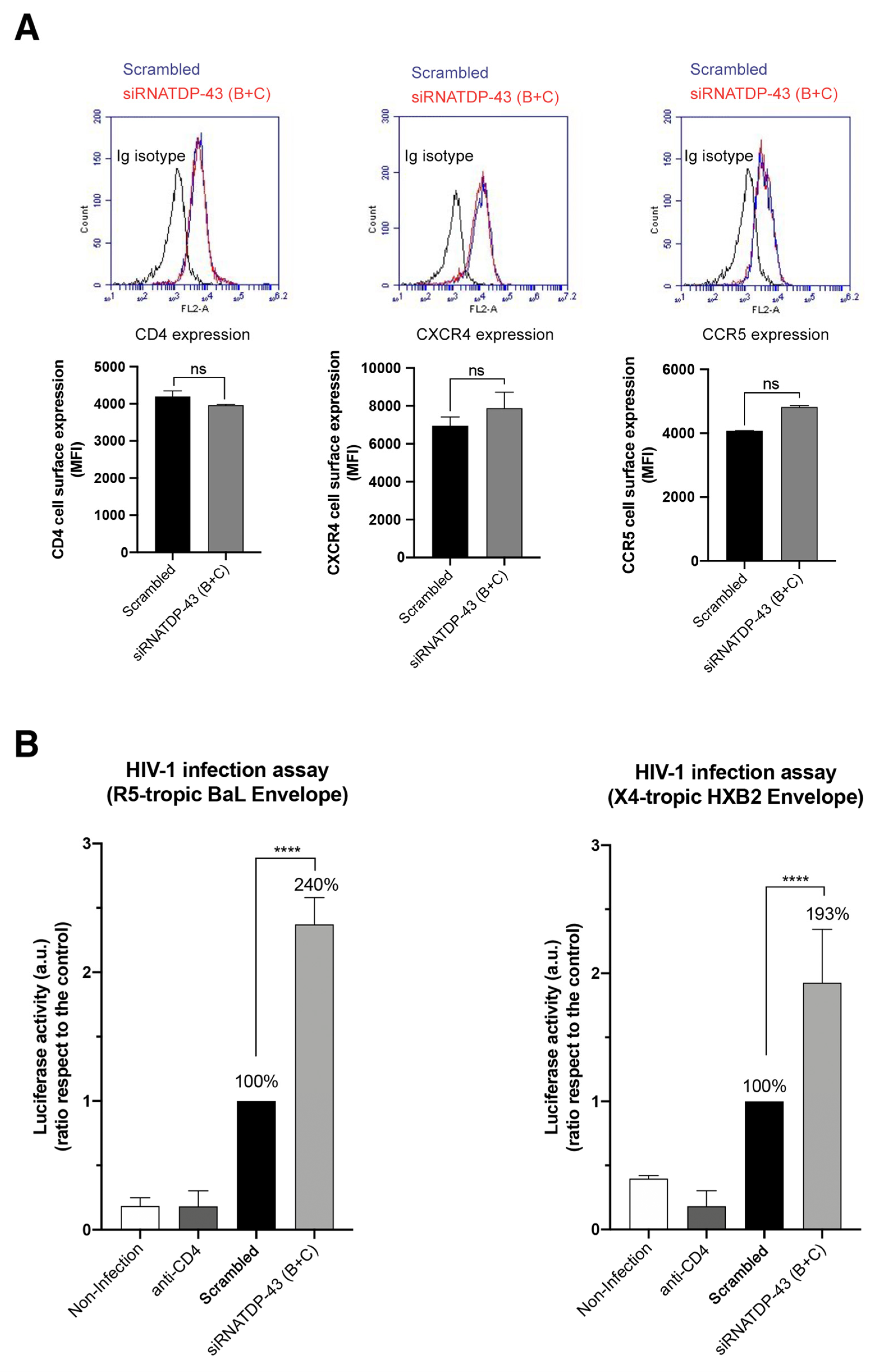 IJMS | Free Full-Text | Transactive Response DNA-Binding Protein  (TARDBP/TDP-43) Regulates Cell Permissivity to HIV-1 Infection by Acting on  HDAC6