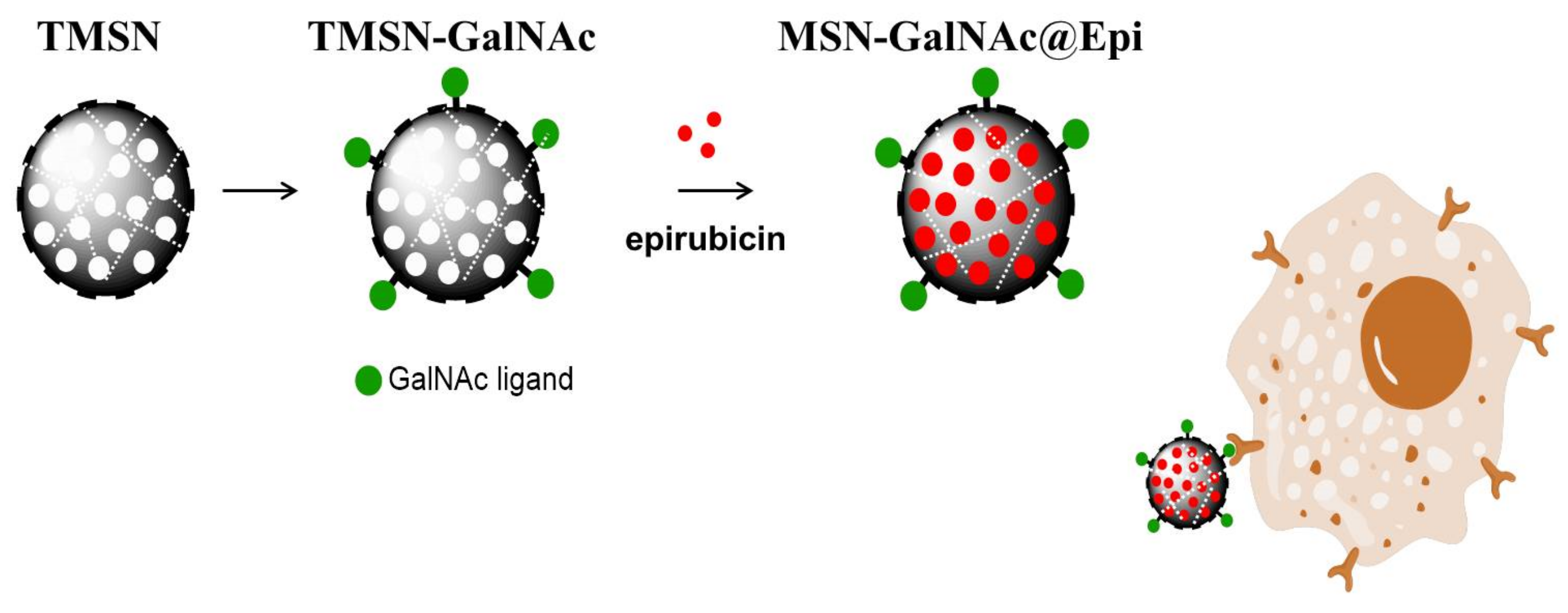 Ijms 23 06243 sch001