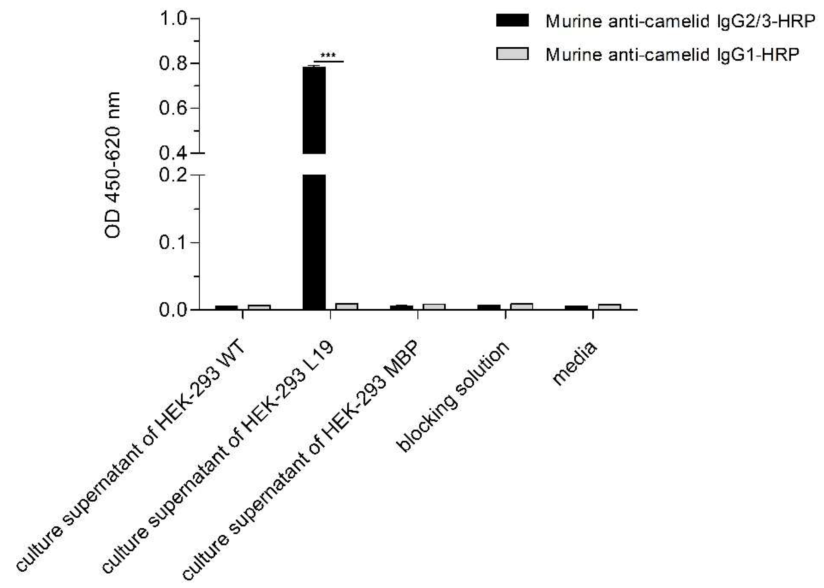 IJMS | Free Full-Text | Novel Anti Double-Stranded Nucleic Acids 