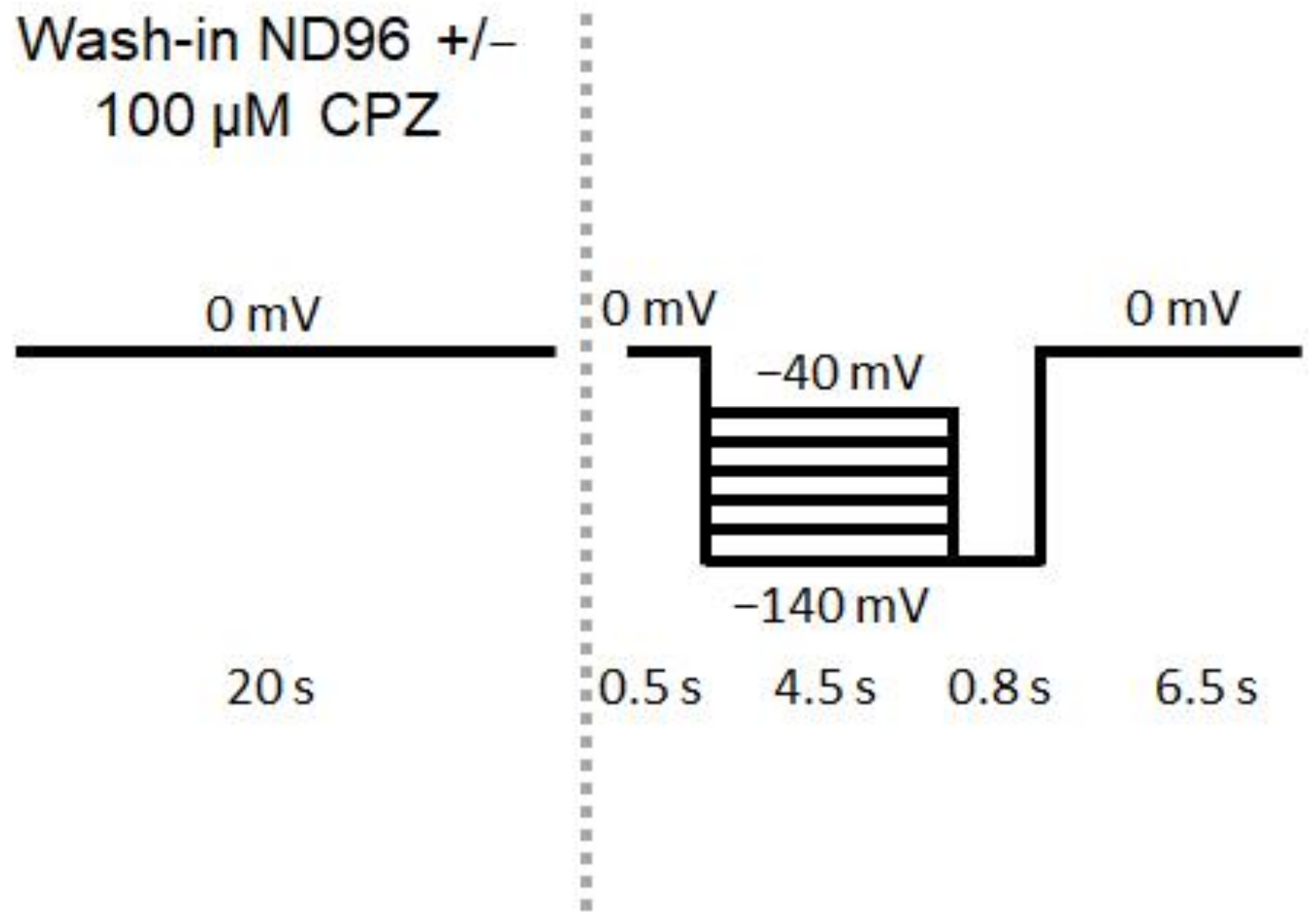 Ijms 23 06285 g002 Ijms 23 06285 g002