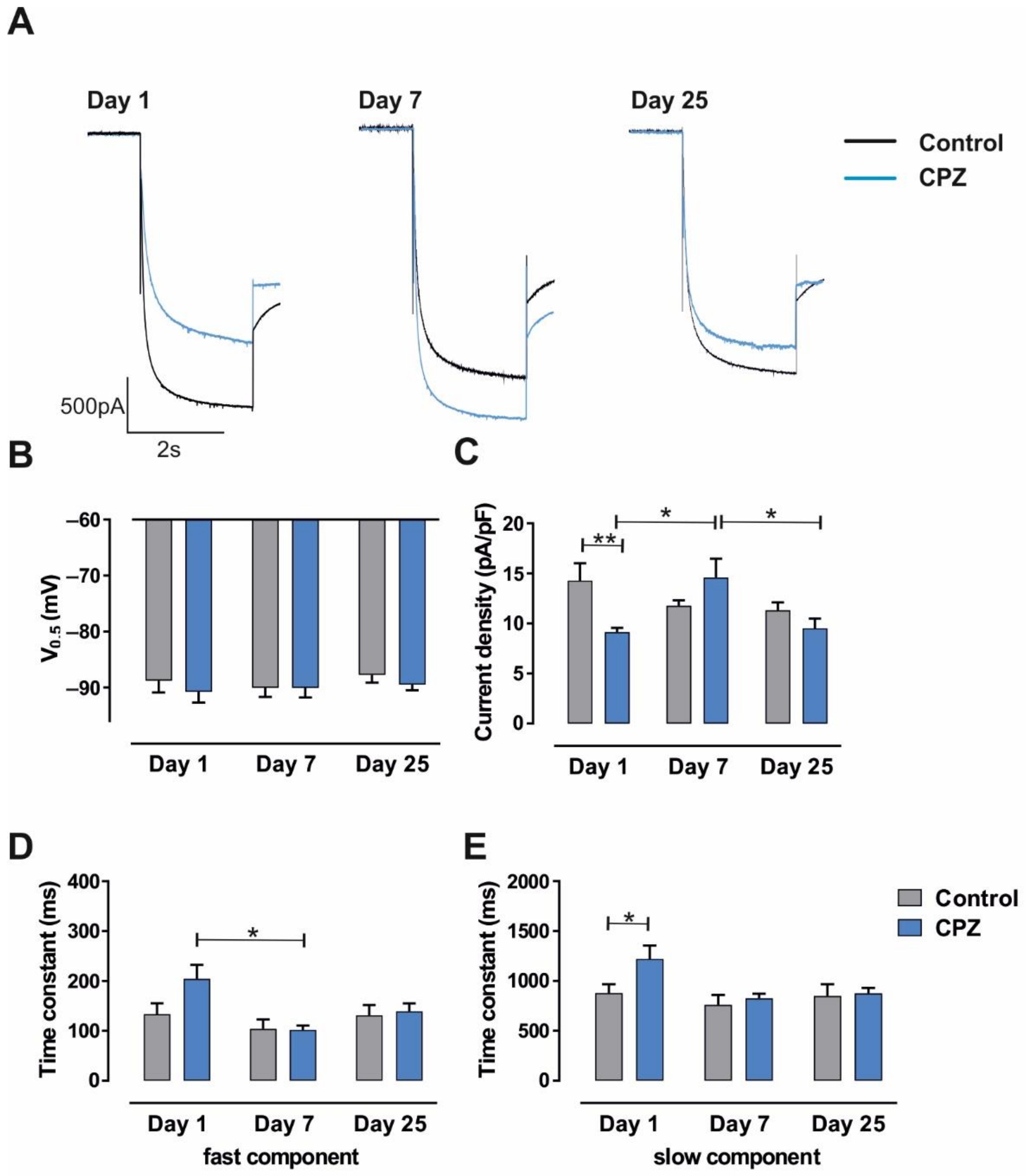 Ijms 23 06285 g003 Ijms 23 06285 g003