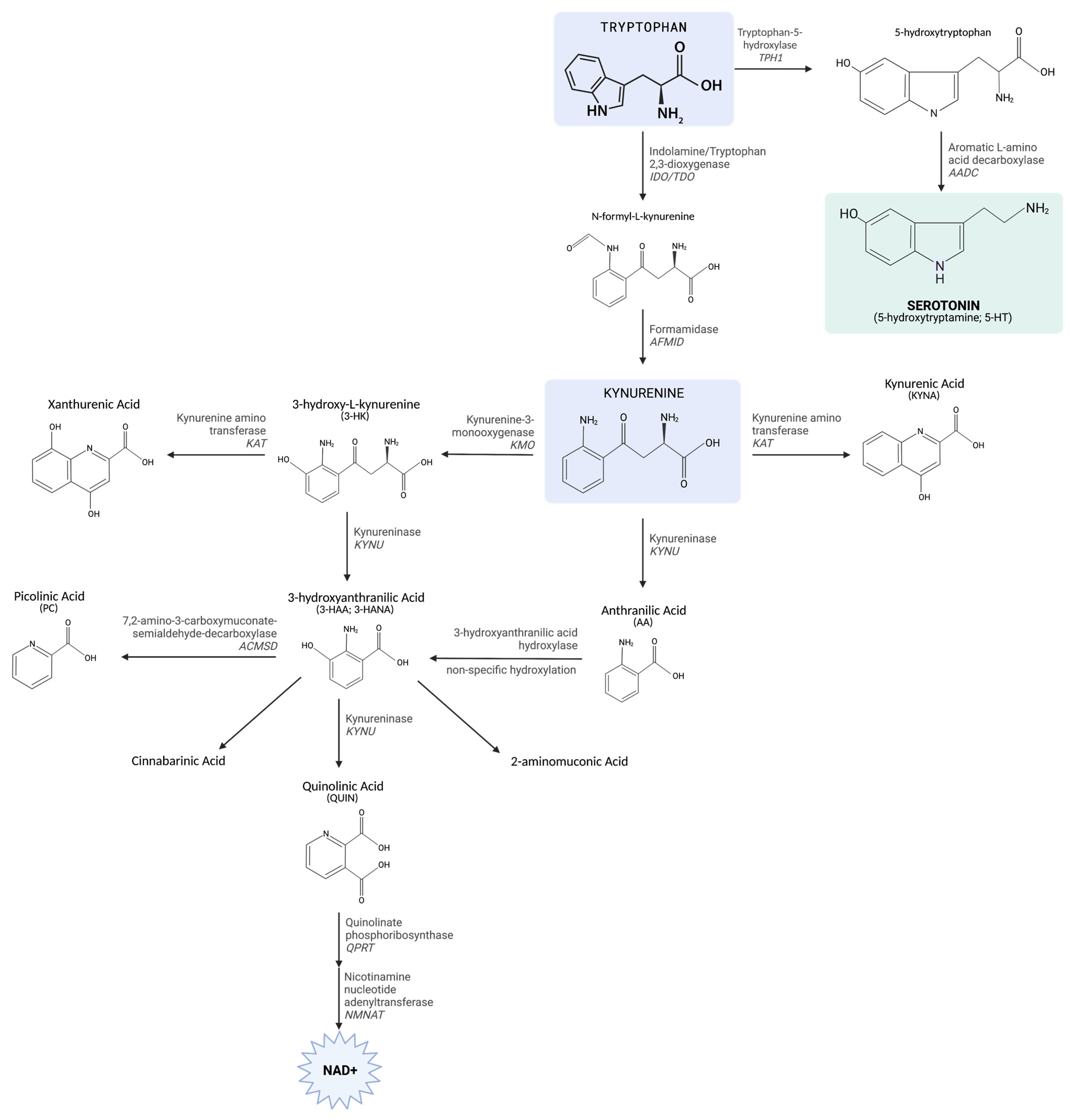 Ijms 23 06300 g001 Ijms 23 06300 g001