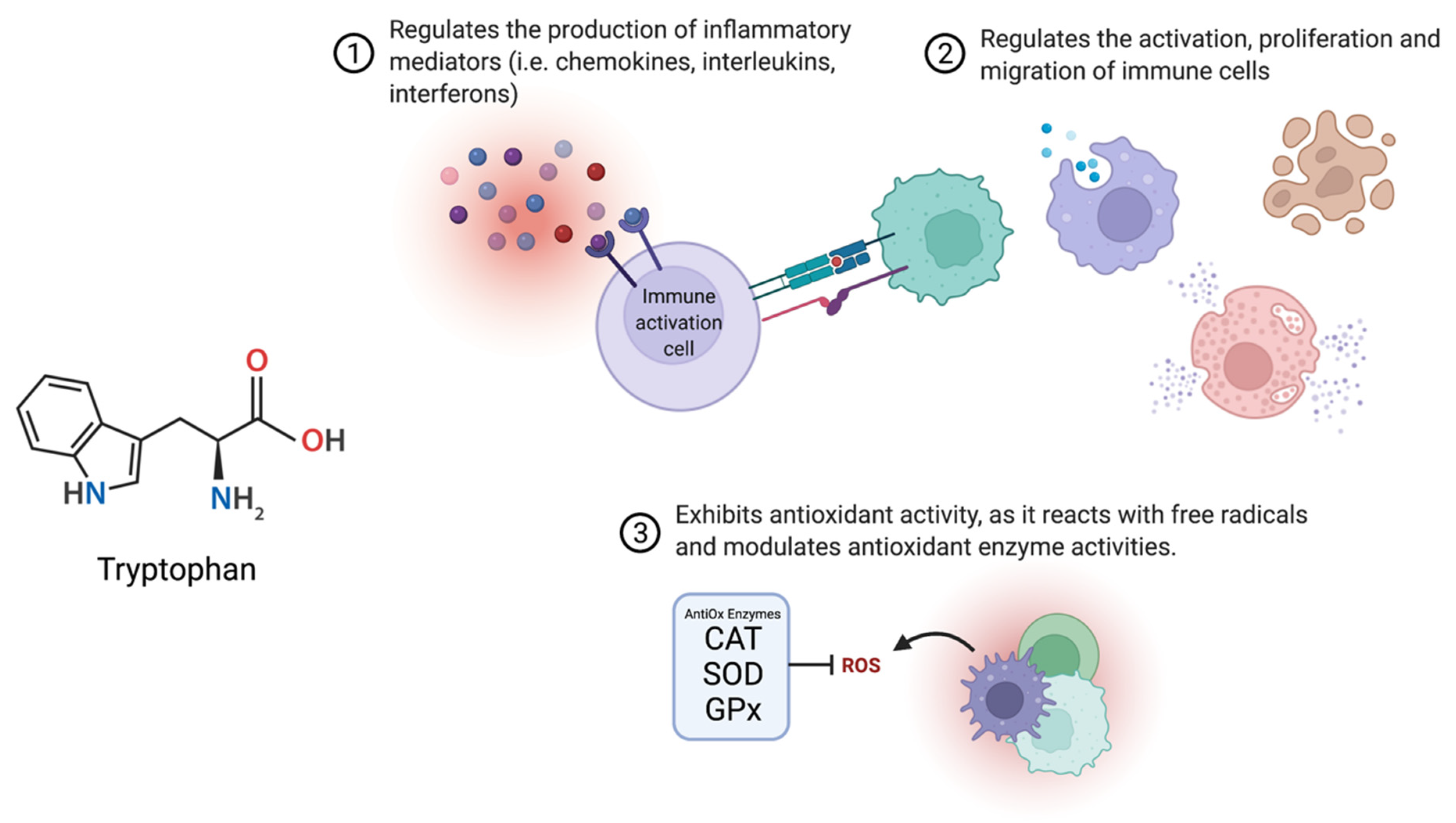 Ijms 23 06300 g005 Ijms 23 06300 g005