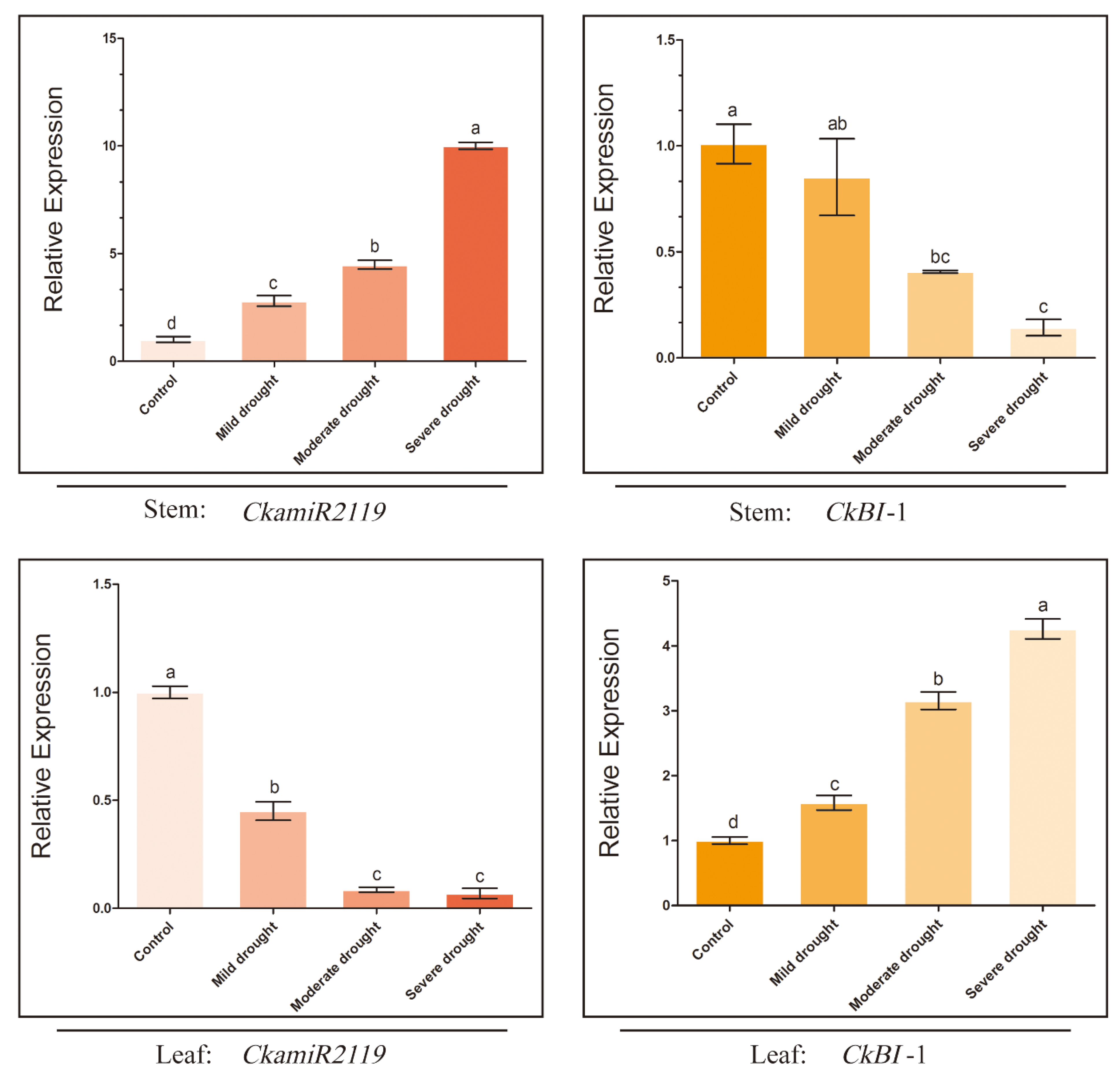 Ijms 23 06306 g002 Ijms 23 06306 g002