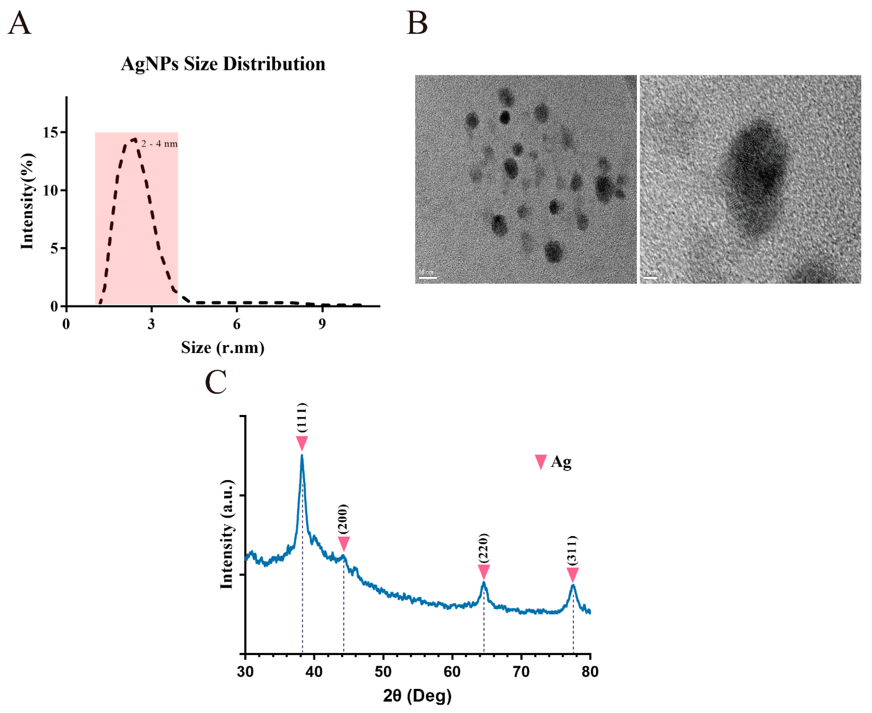 Ijms 23 06325 g001 Ijms 23 06325 g001