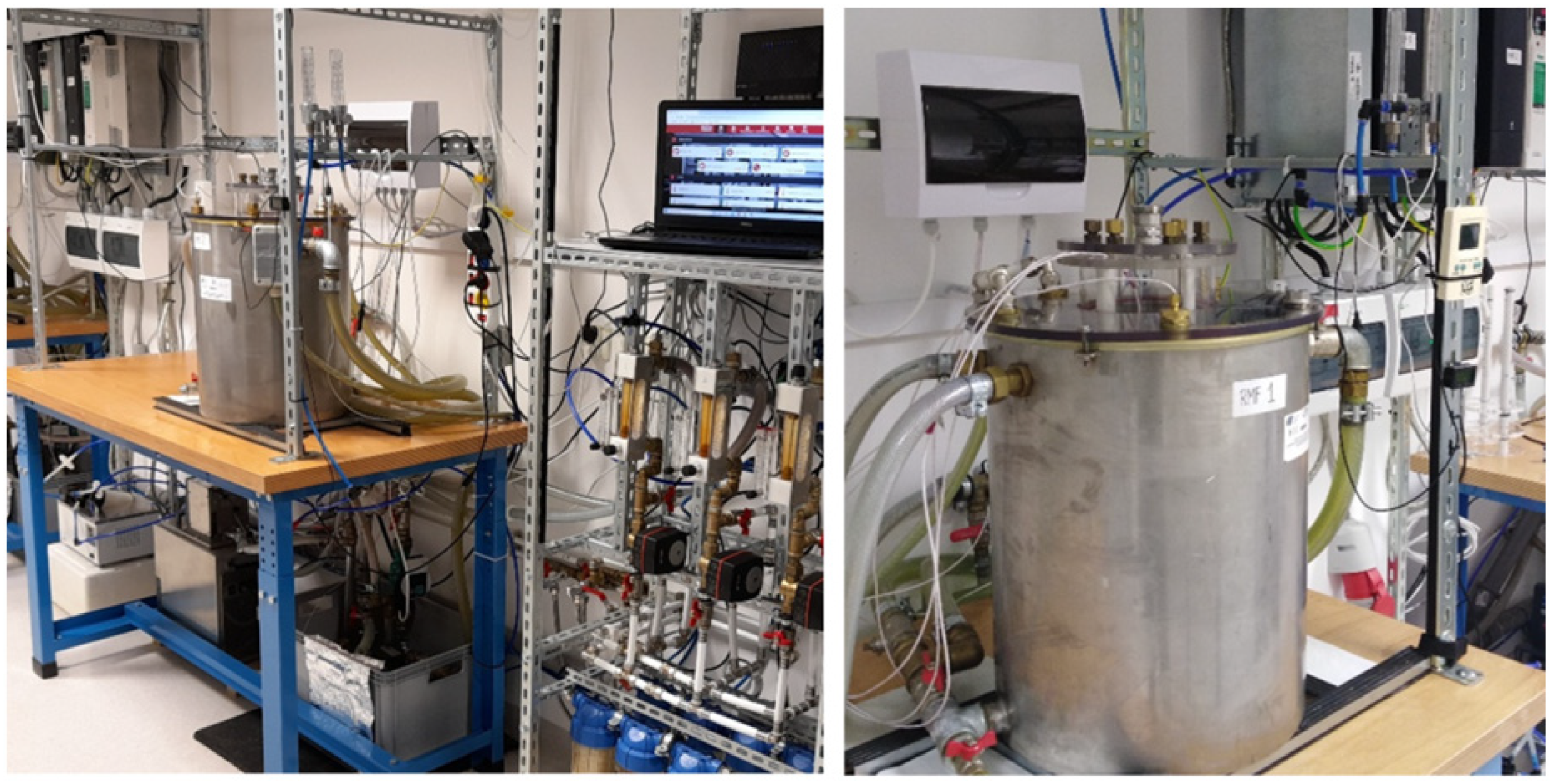 Ijms 23 06327 g004 Ijms 23 06327 g004