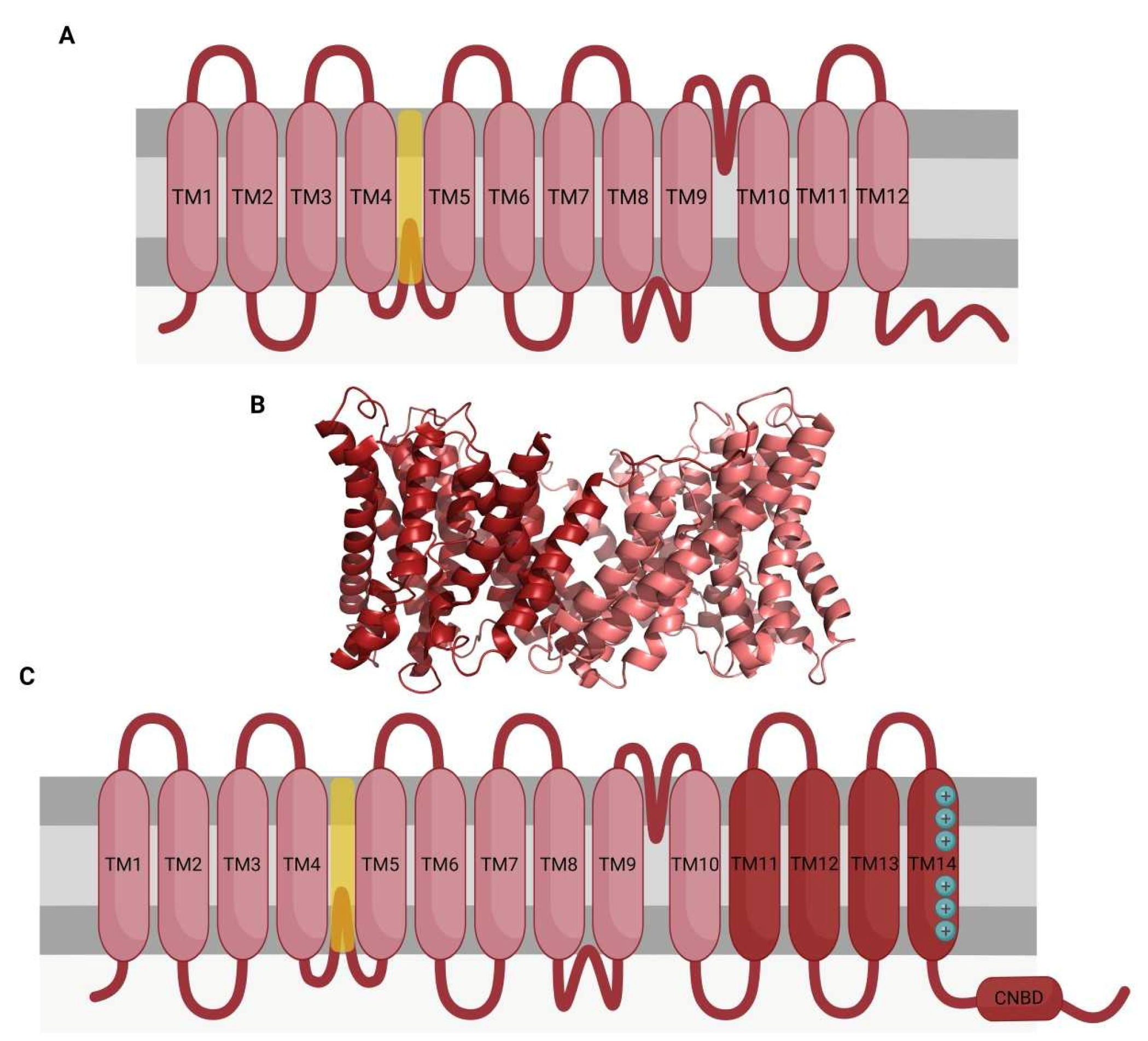 Ijms 23 06333 g003 Ijms 23 06333 g003