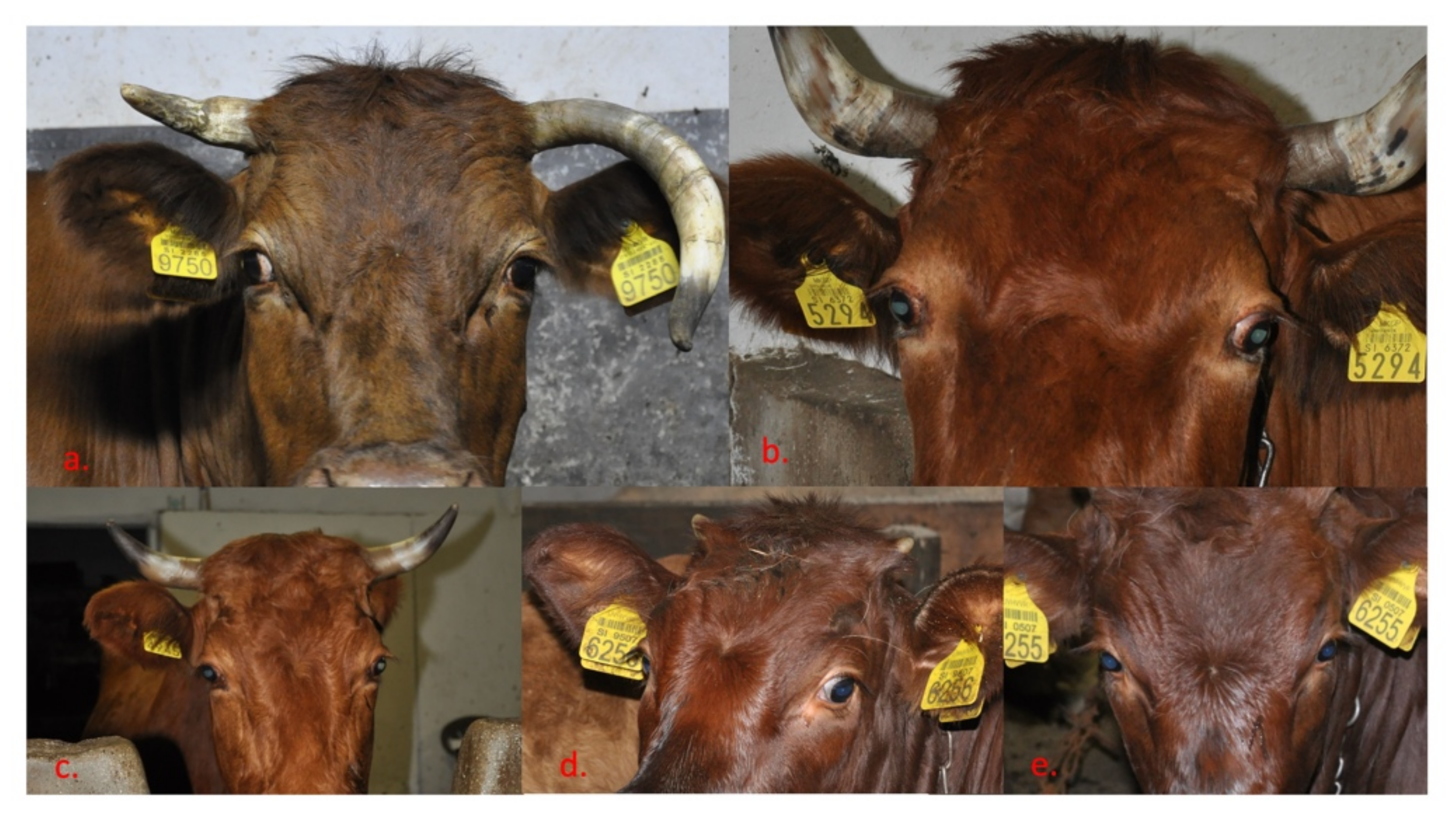 Ijms 23 06335 g004 Ijms 23 06335 g004