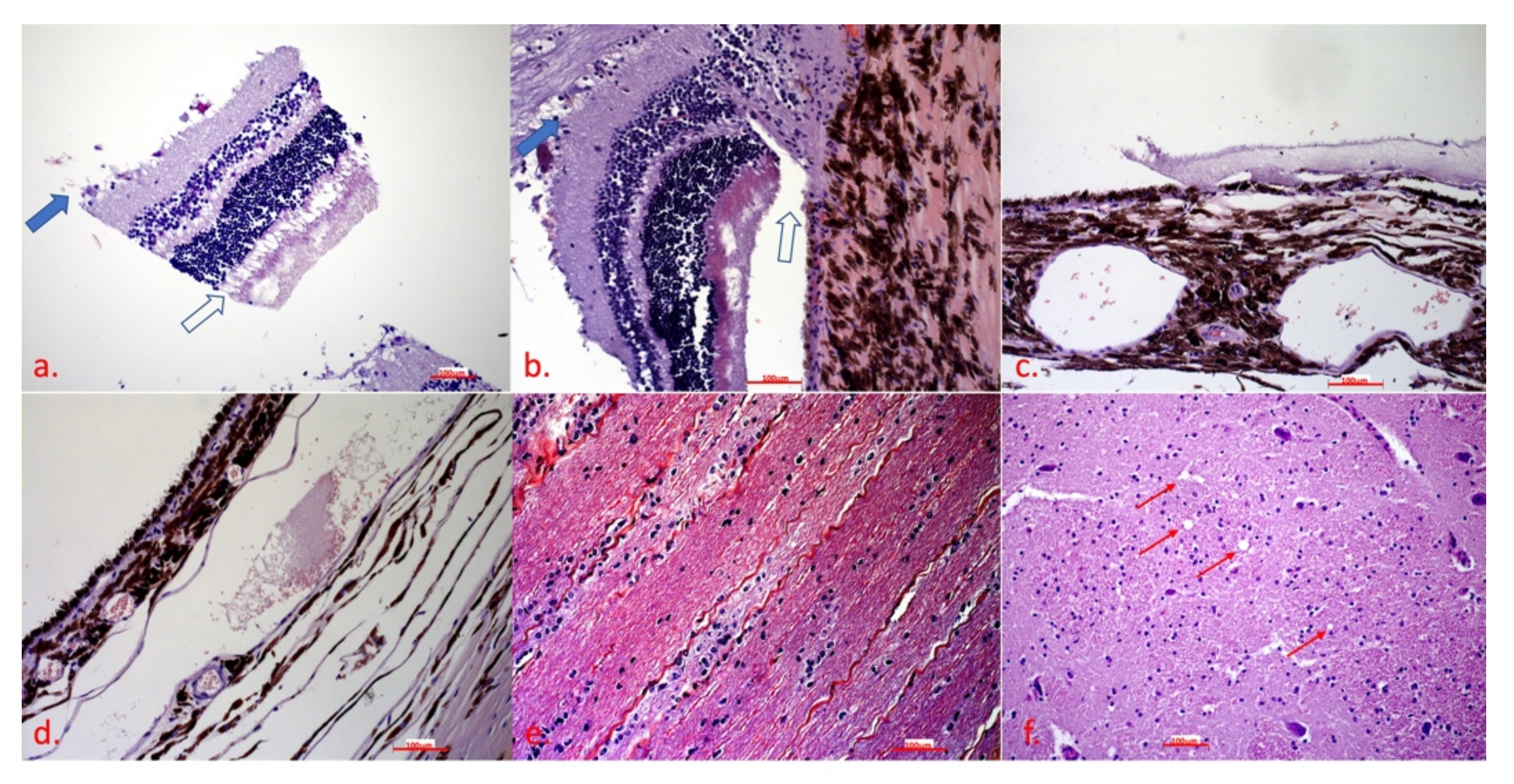 Ijms 23 06335 g005 Ijms 23 06335 g005